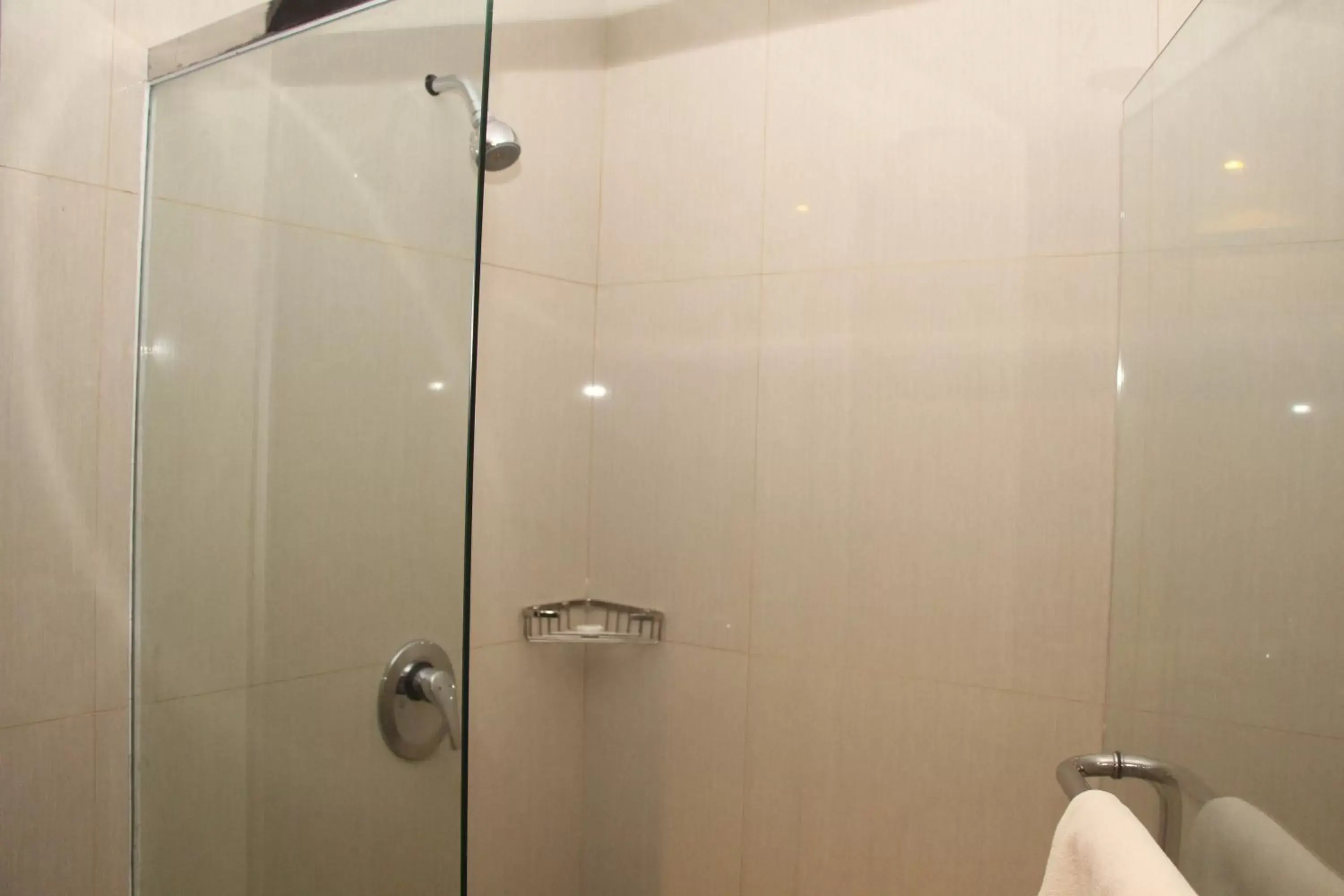 Shower, Bathroom in Swiss-Belhotel Borneo Samarinda