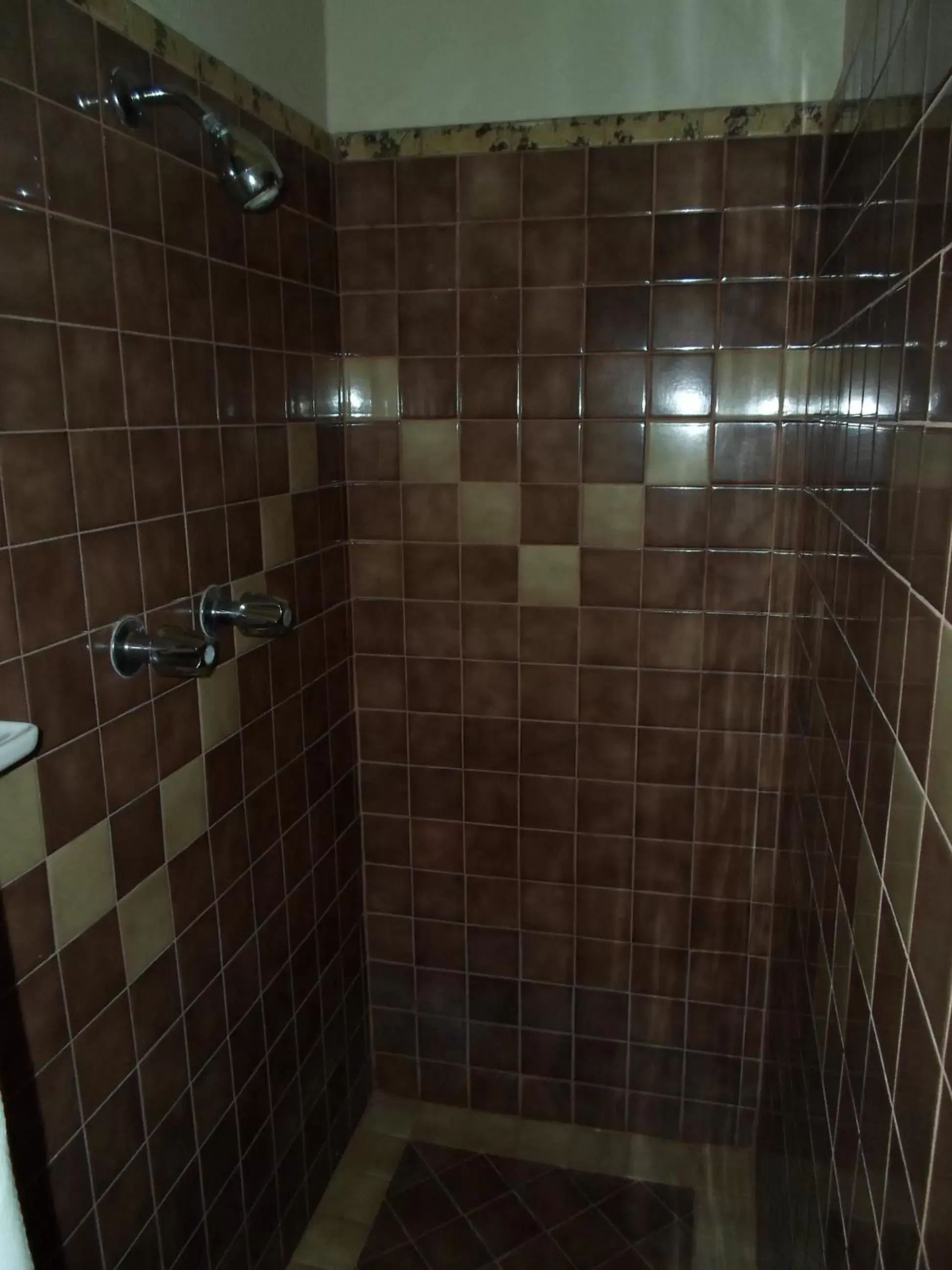 Shower, Bathroom in Budget Inn Morgan Hill