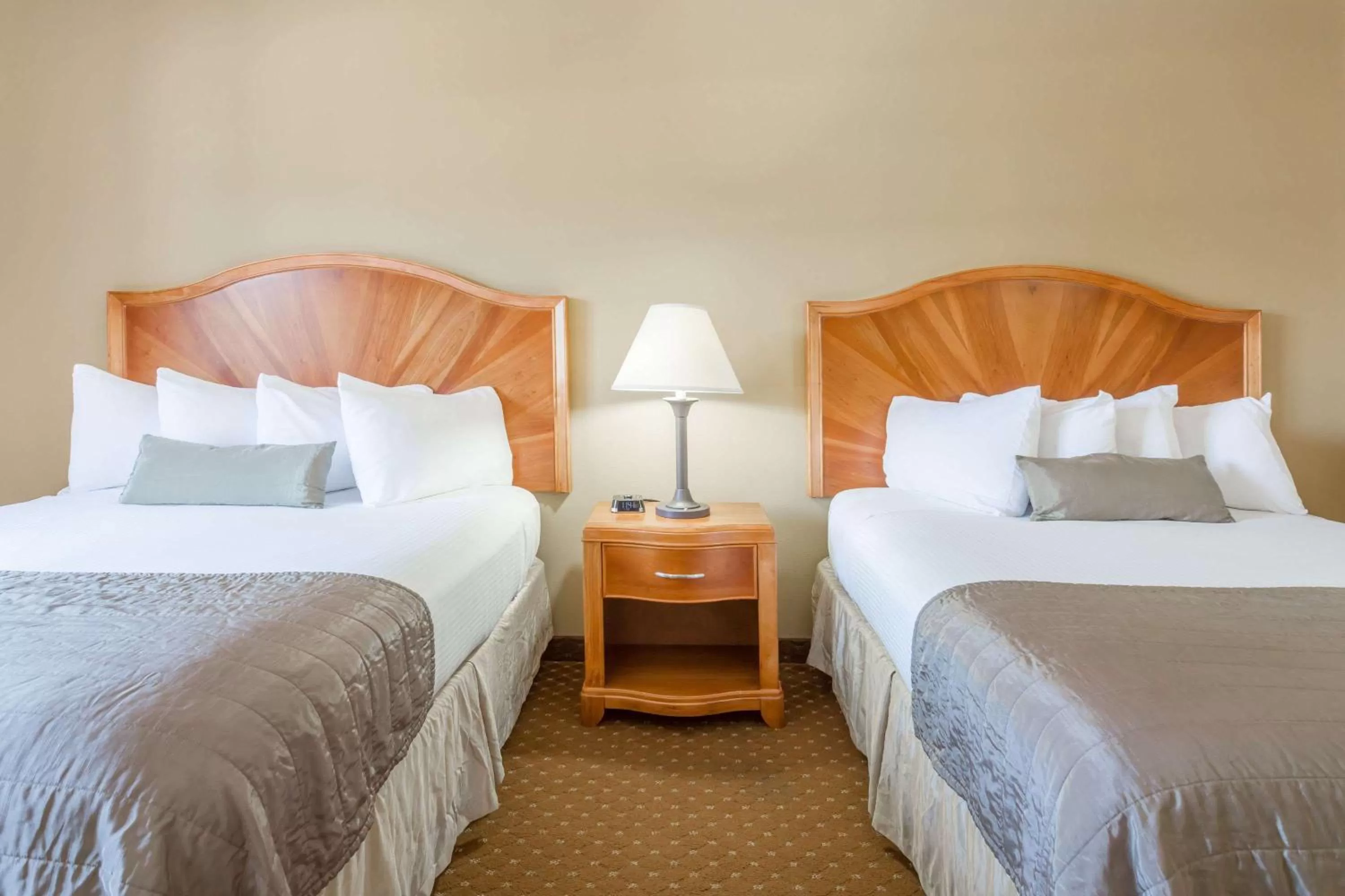 Photo of the whole room, Bed in Baymont by Wyndham Asheville/Biltmore
