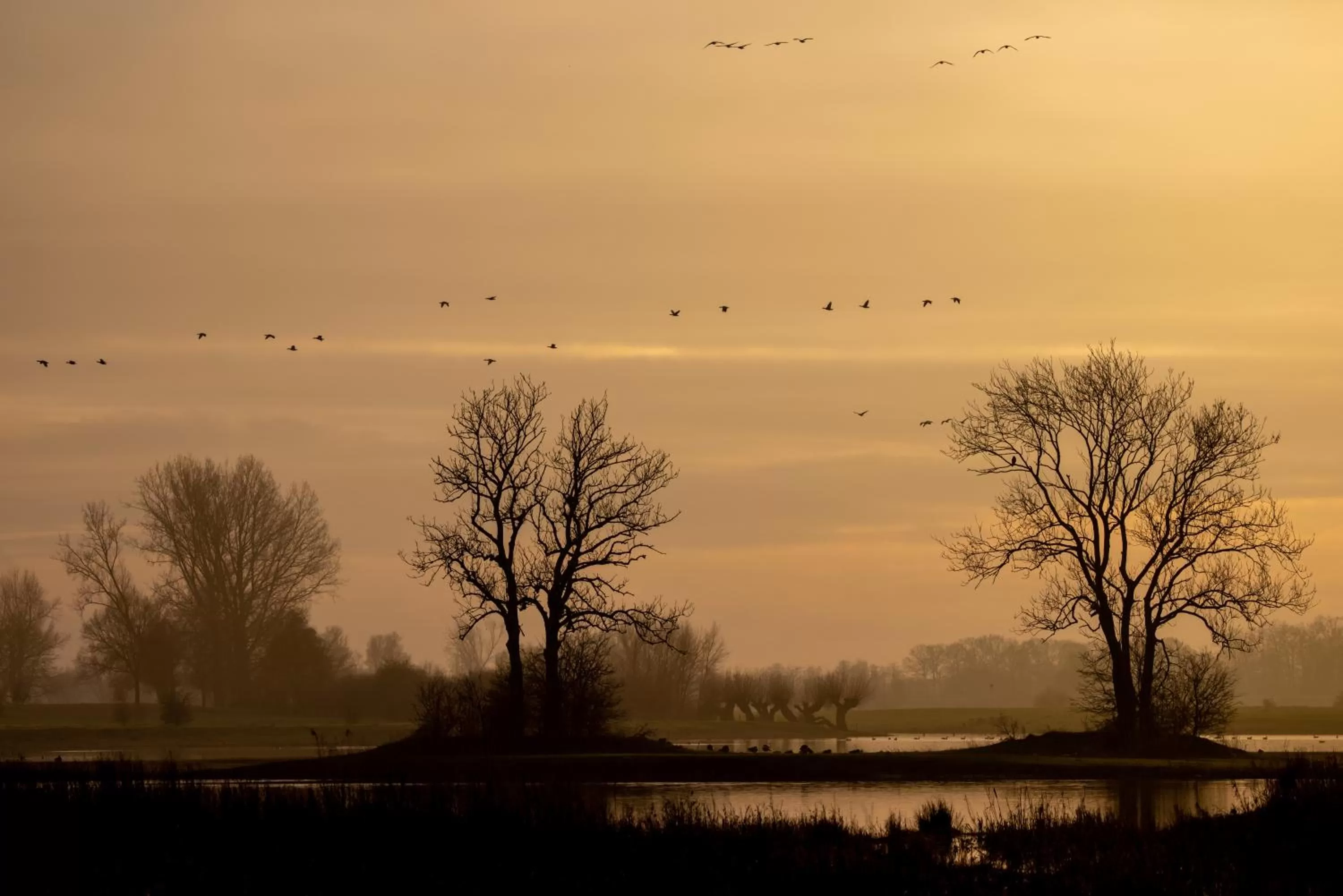 Natural landscape in De Stadsboerderij