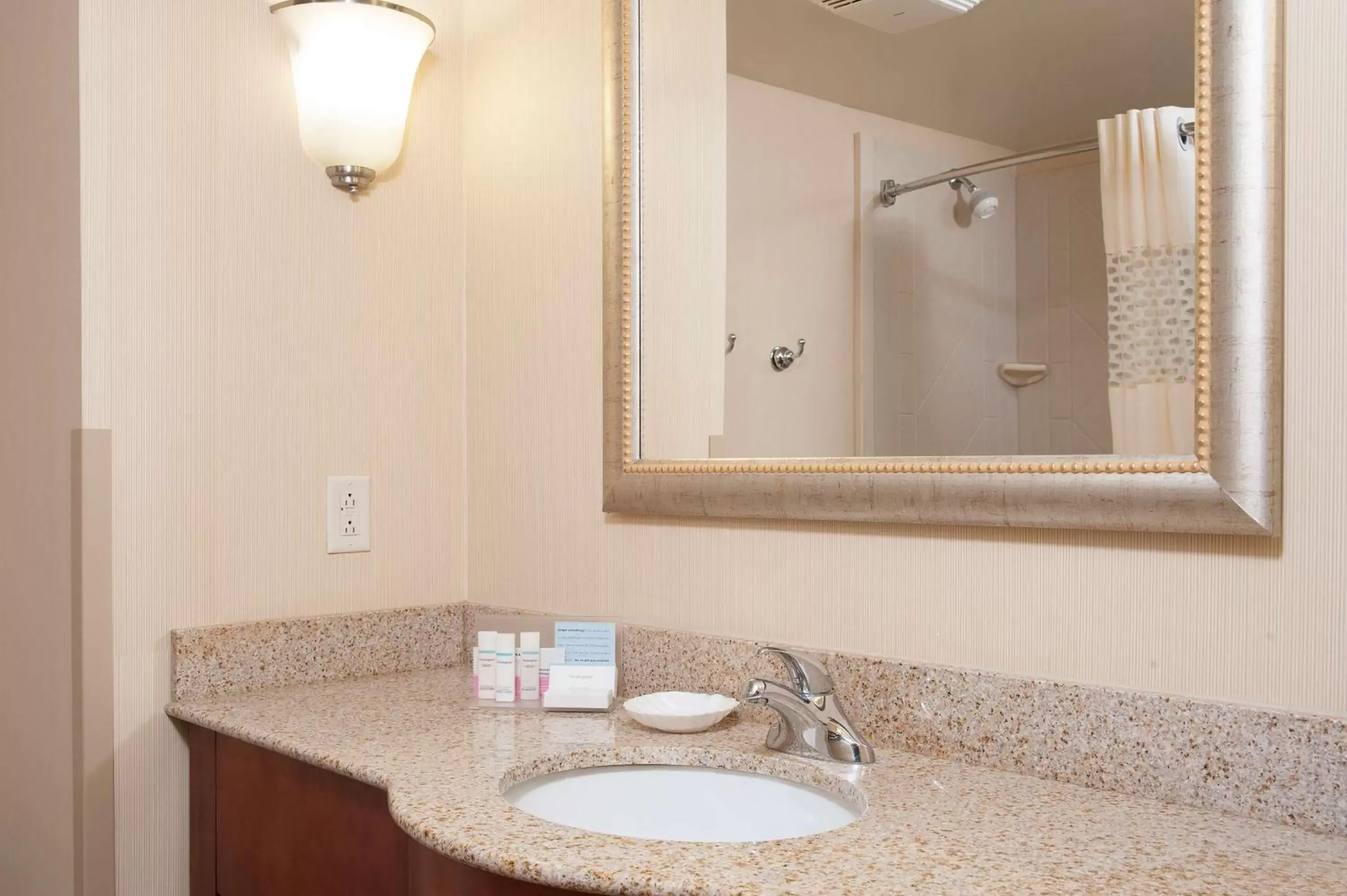 Bathroom in Hampton Inn Jacksonville