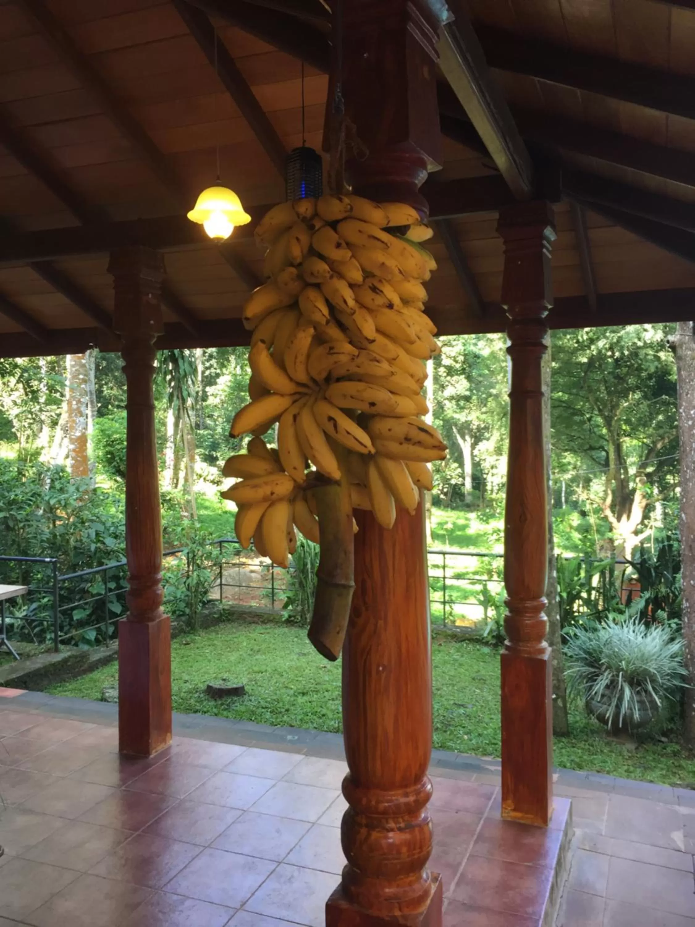 Decorative detail in Le leopard d 'argent