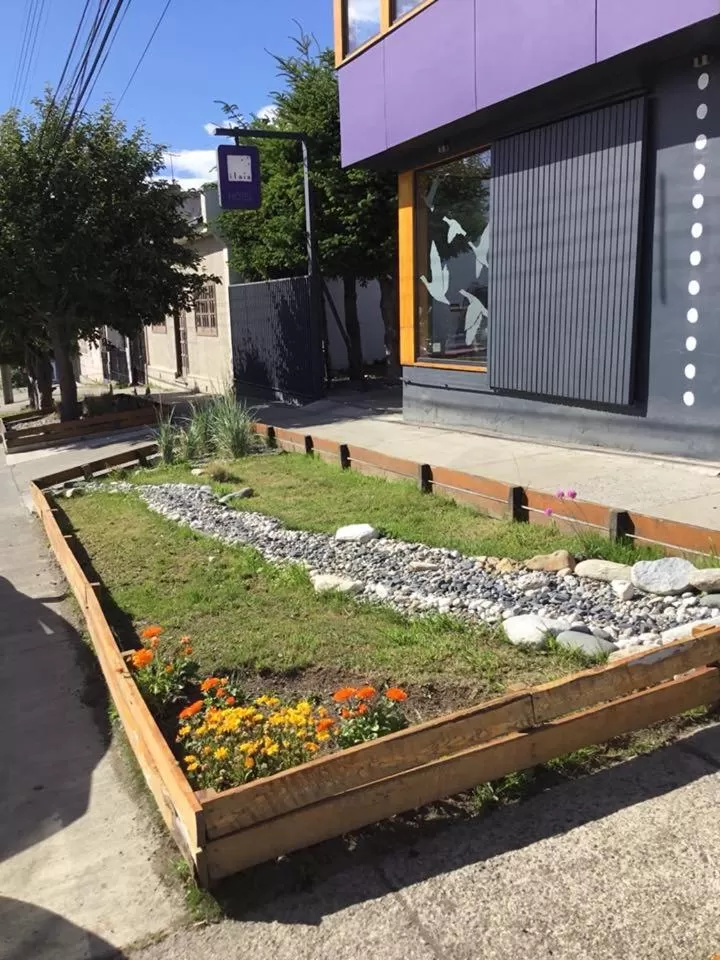 Garden in Hotel Ilaia
