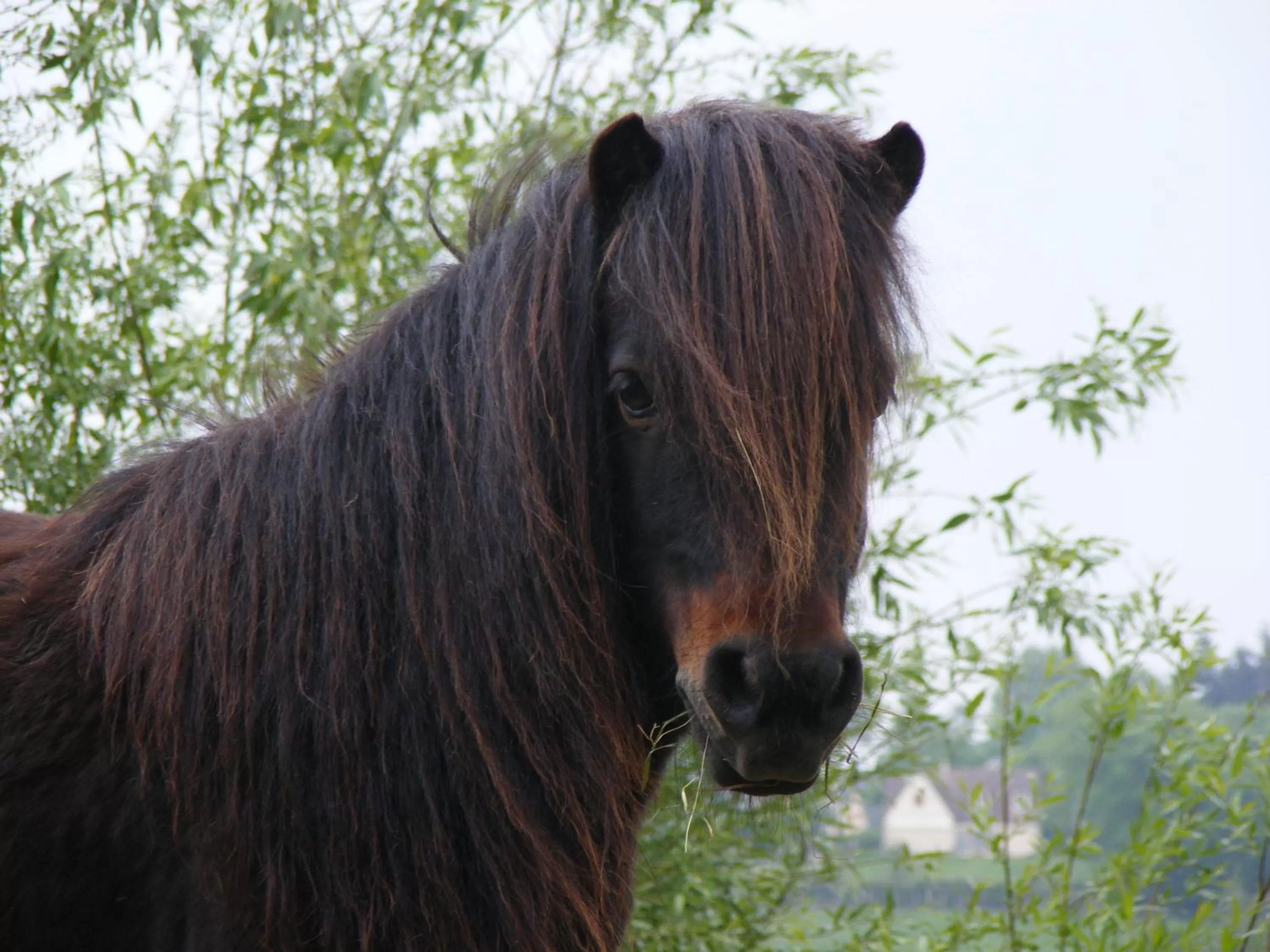 Horse-riding in Les Belleme Golf - Self-catering Apartments