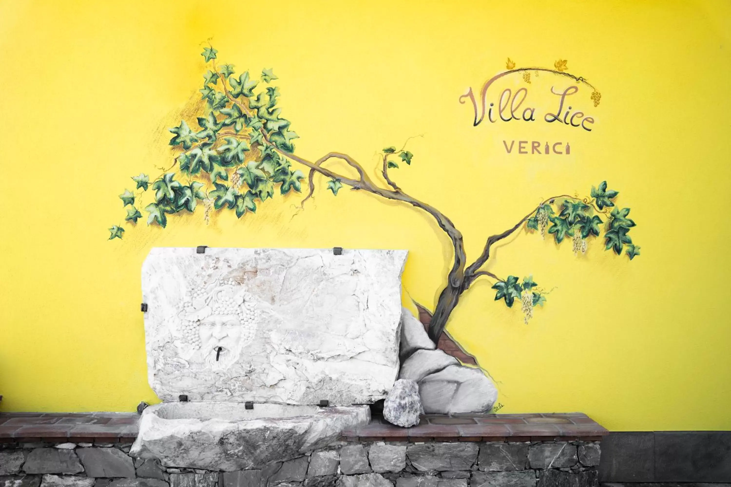 Villa Lice Verici