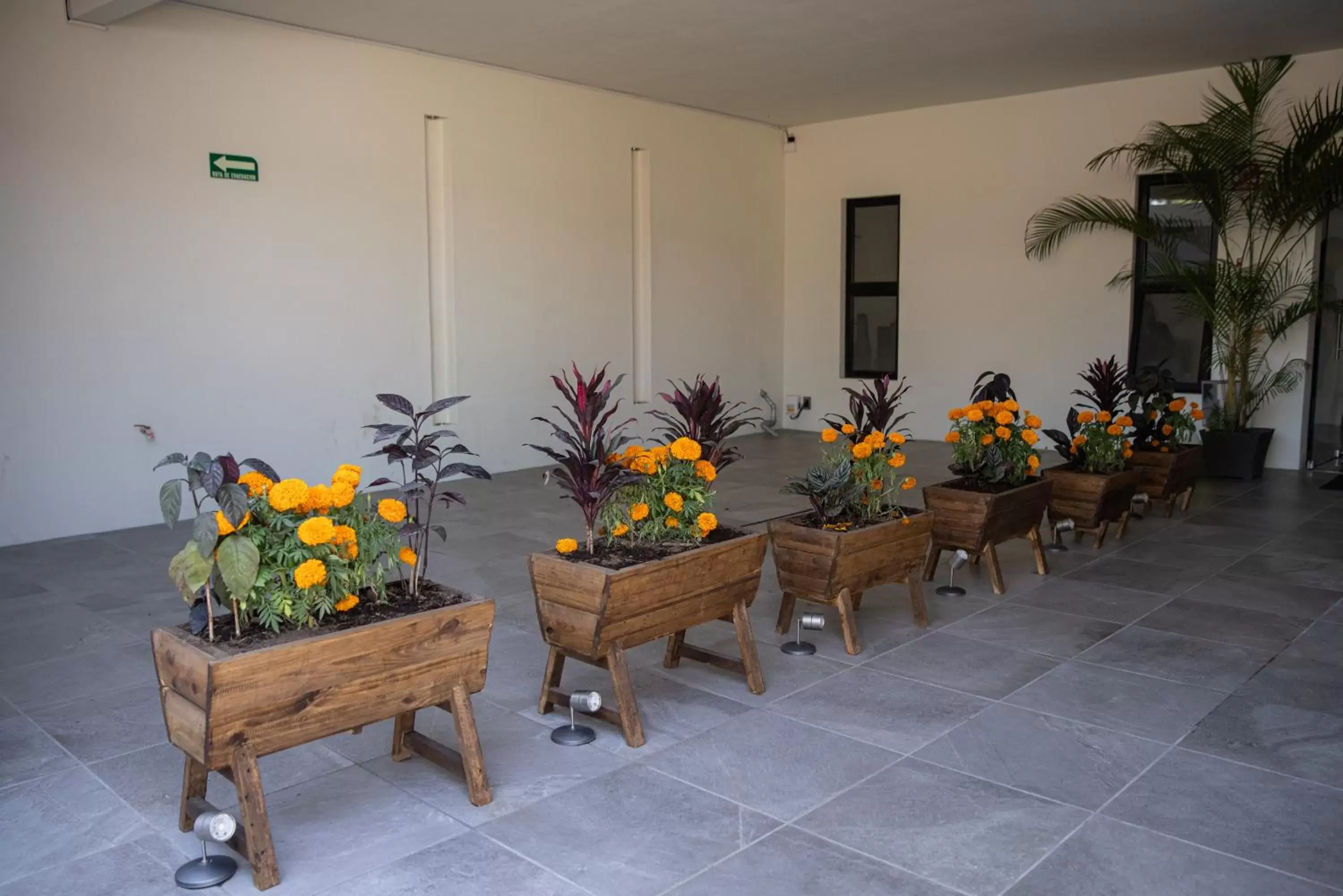 Lobby or reception in Hotel Casa Jima Agave