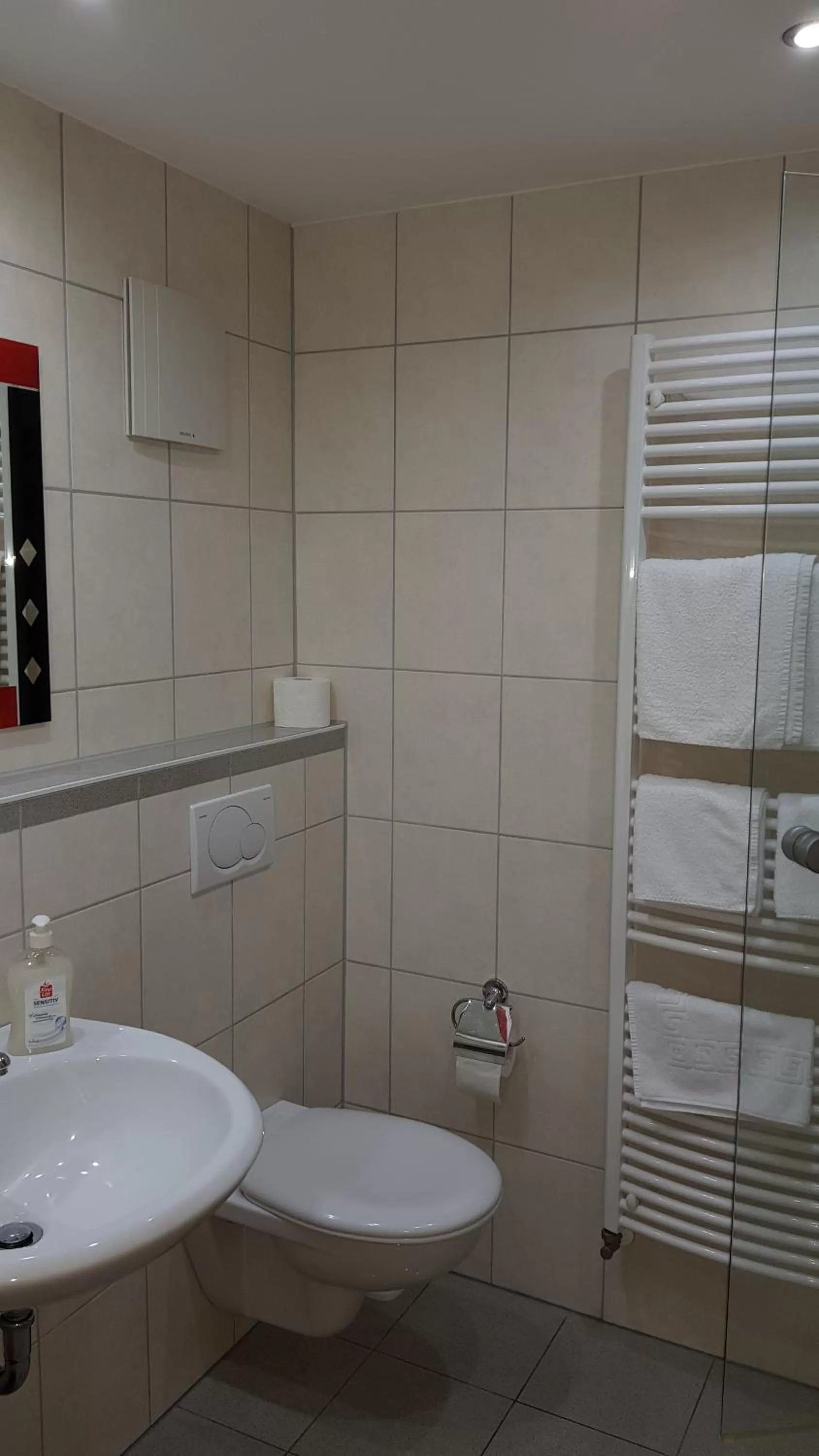 Toilet in H41 Inn Hotel Garni Freiburg