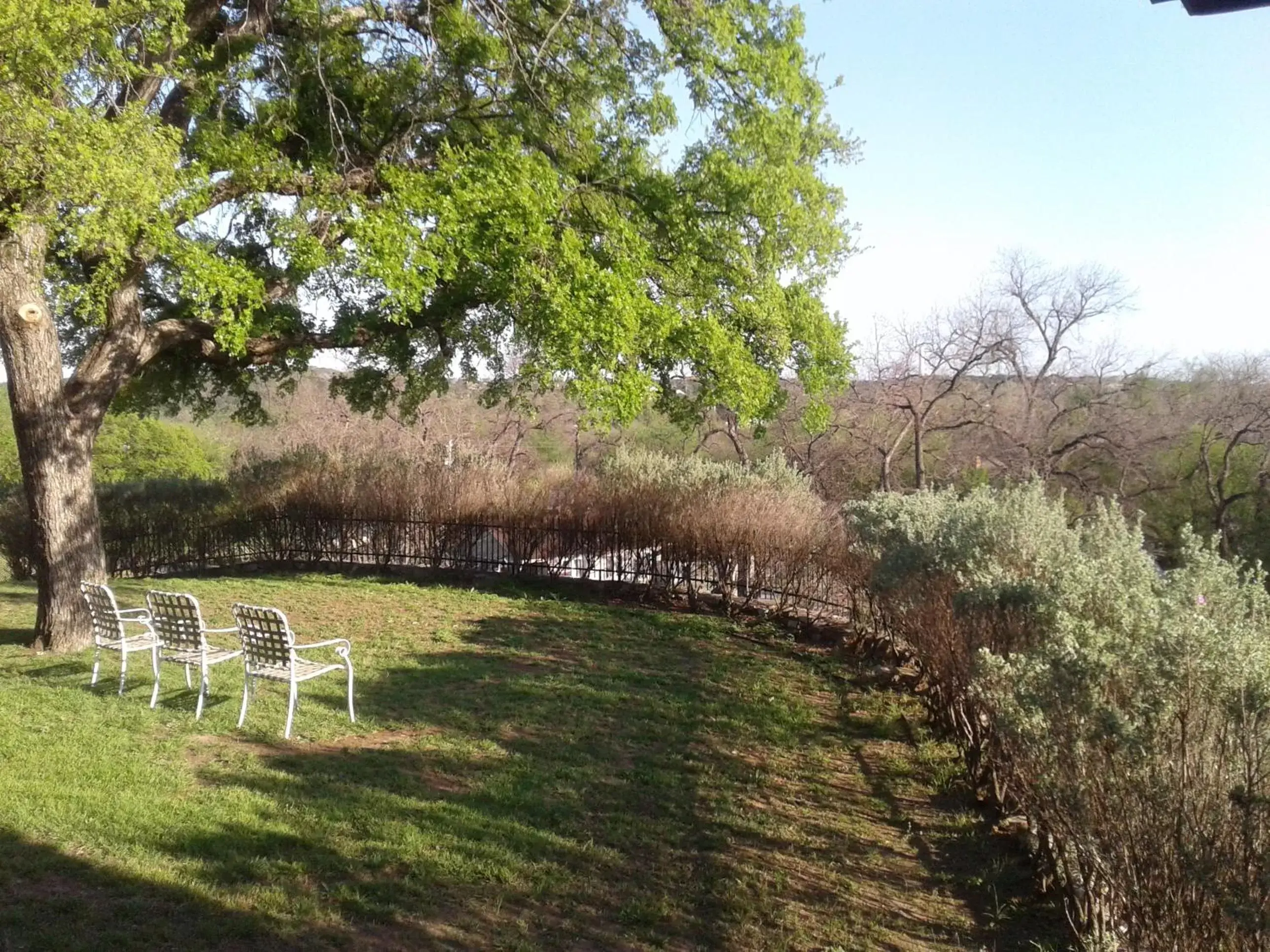 View (from property/room), Garden in Live Oak B&B