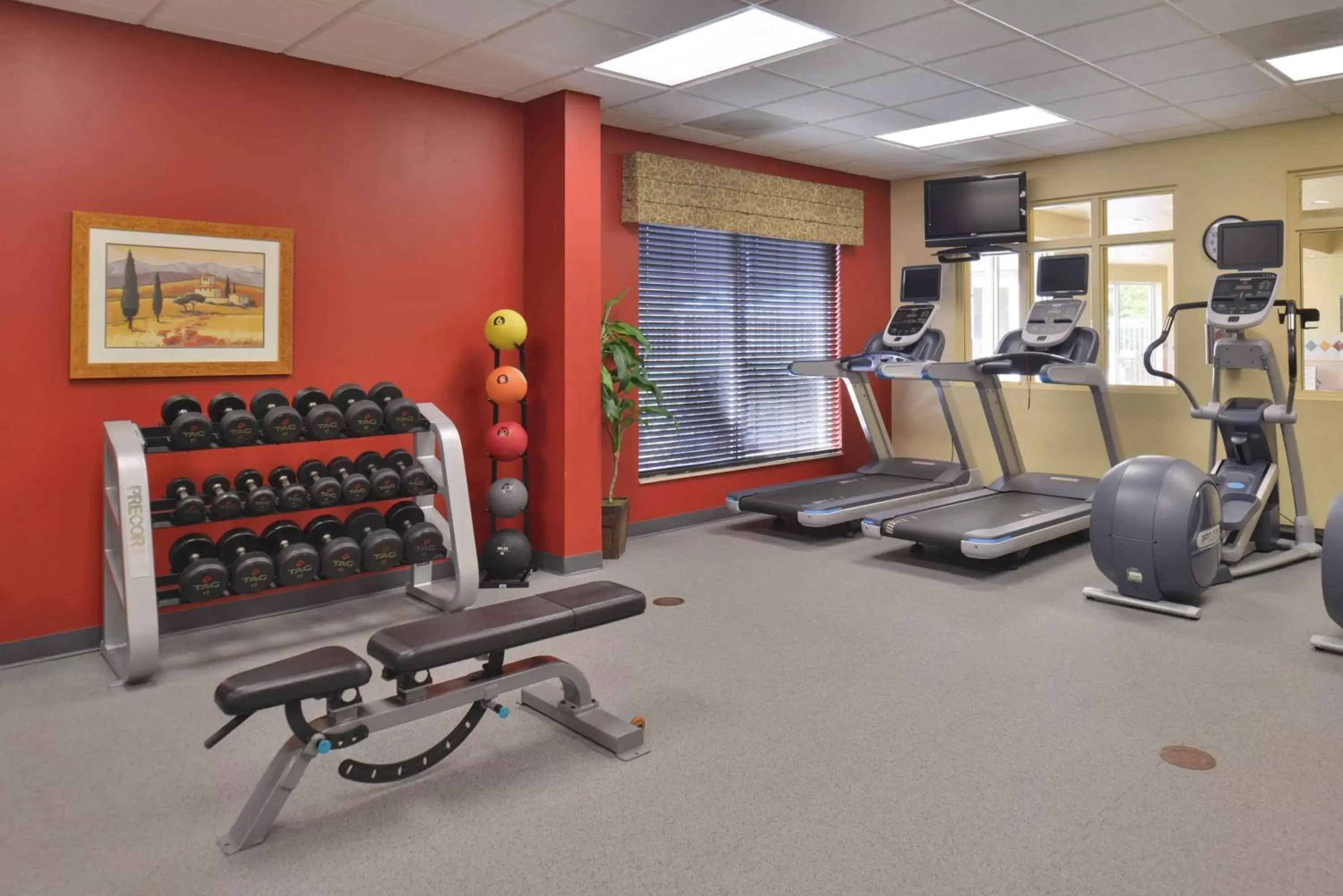 Fitness centre/facilities, Fitness Center/Facilities in Hilton Garden Inn Indianapolis/Carmel