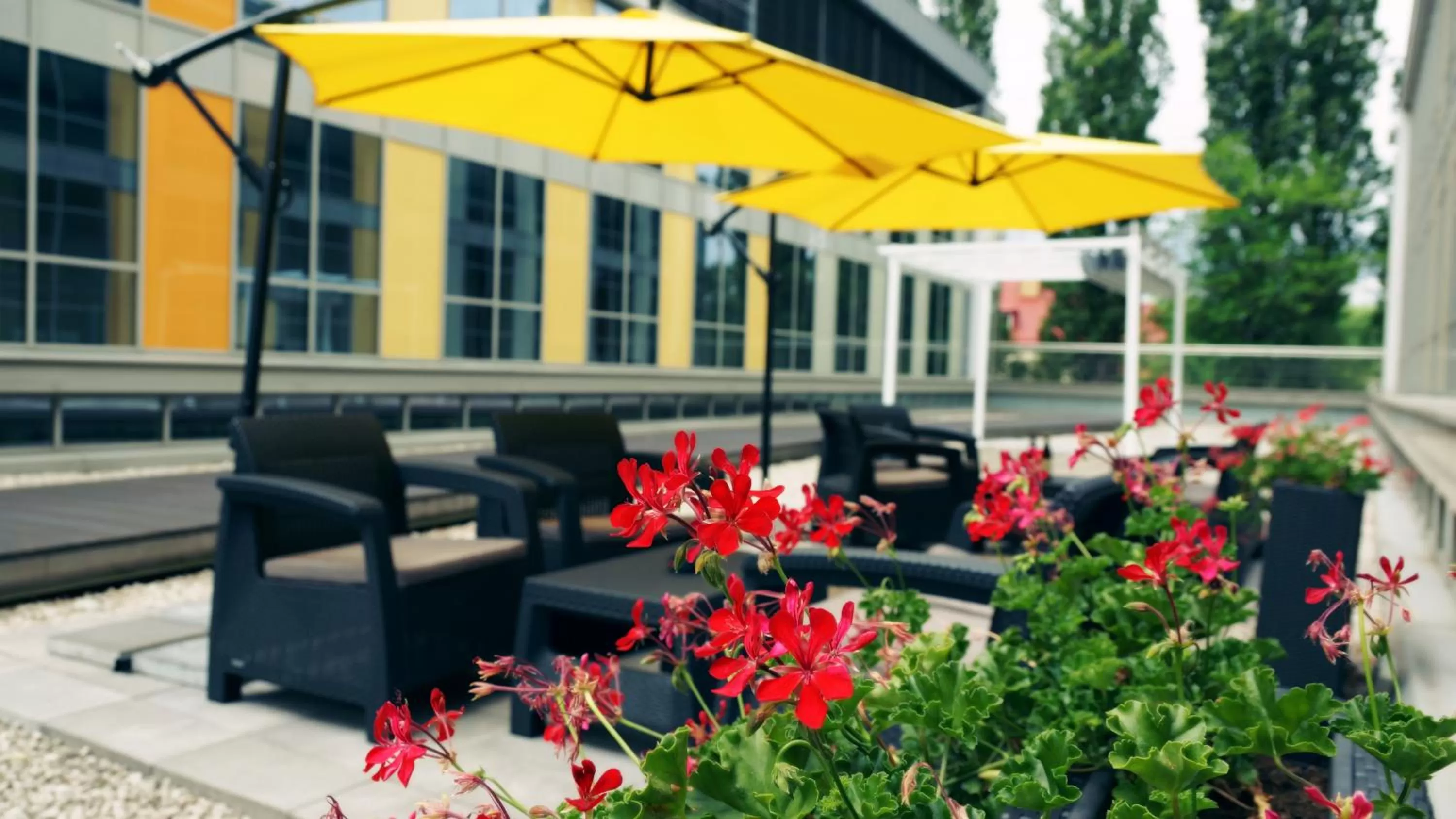 Patio in Hotel Forza
