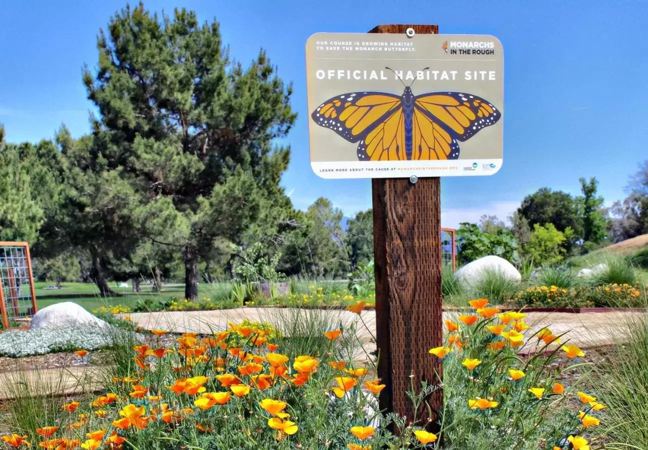 Natural landscape in Temecula Creek Inn