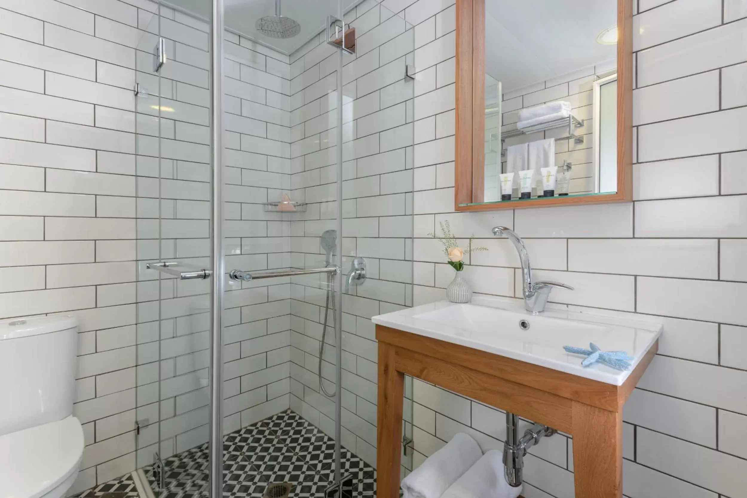 Shower, Bathroom in Embassy Hotel Tel Aviv