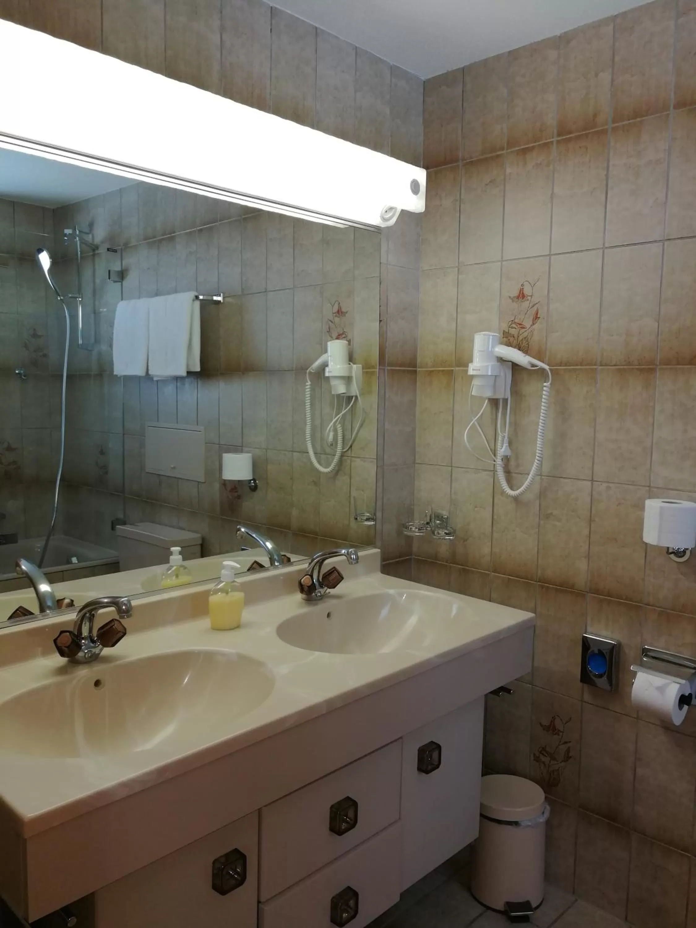 Bathroom in Ambiente Mountain Style