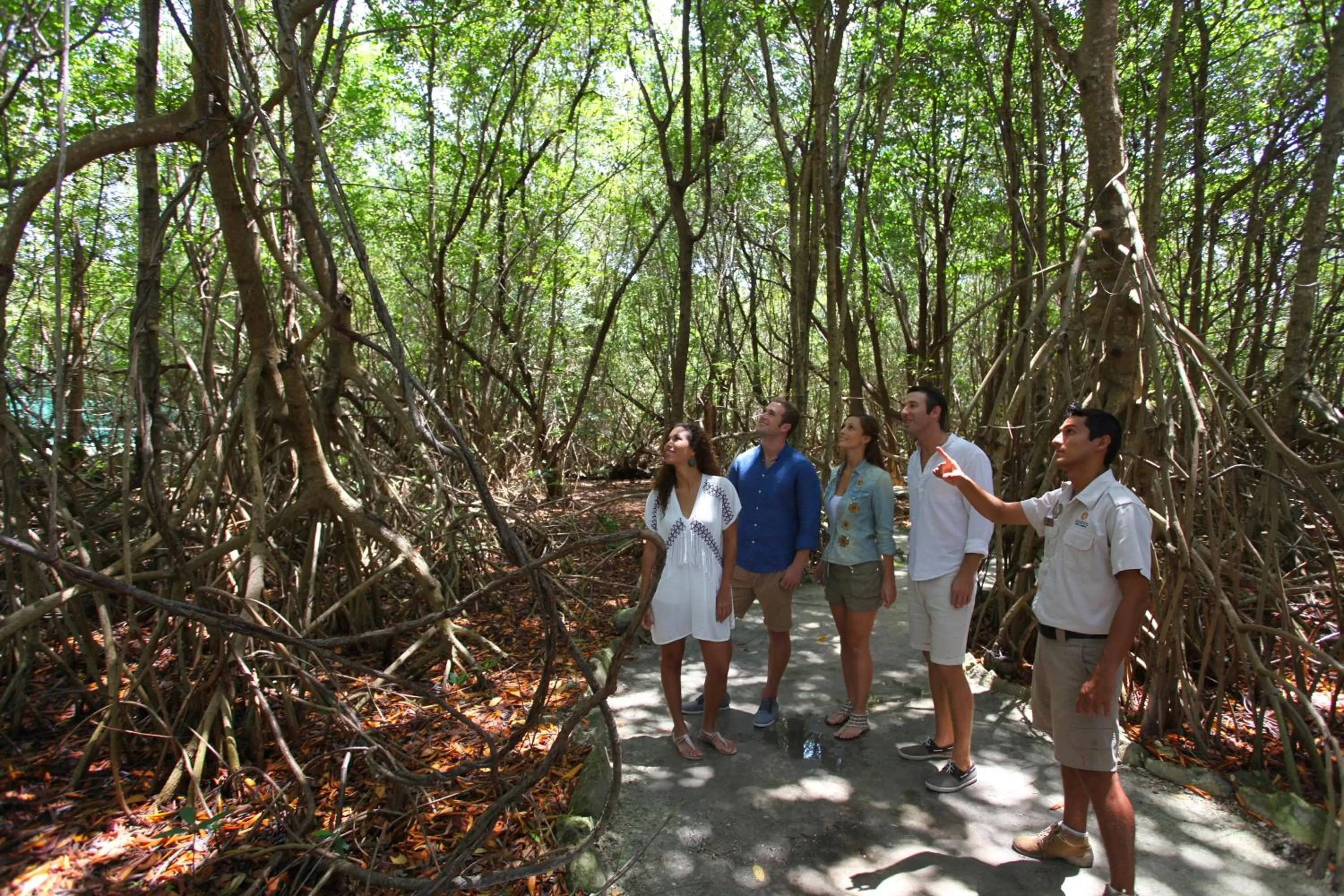 Natural landscape in Select Club at Sandos Caracol All Inclusive - Adults Only Area