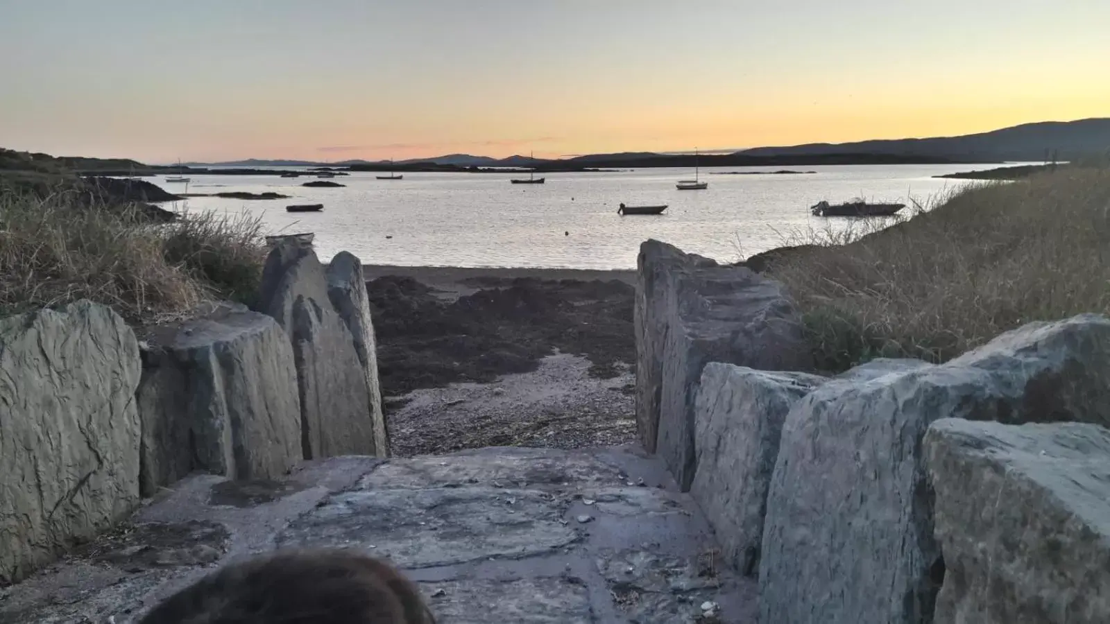 Natural Landscape in Heir Island House