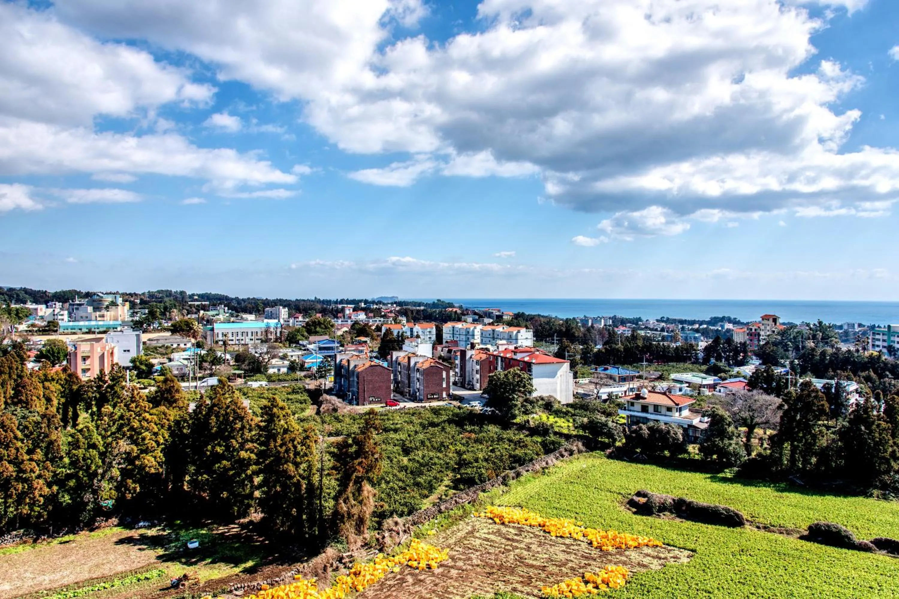 Neighbourhood in Jungmoon City Hotel & J-hill Hotel