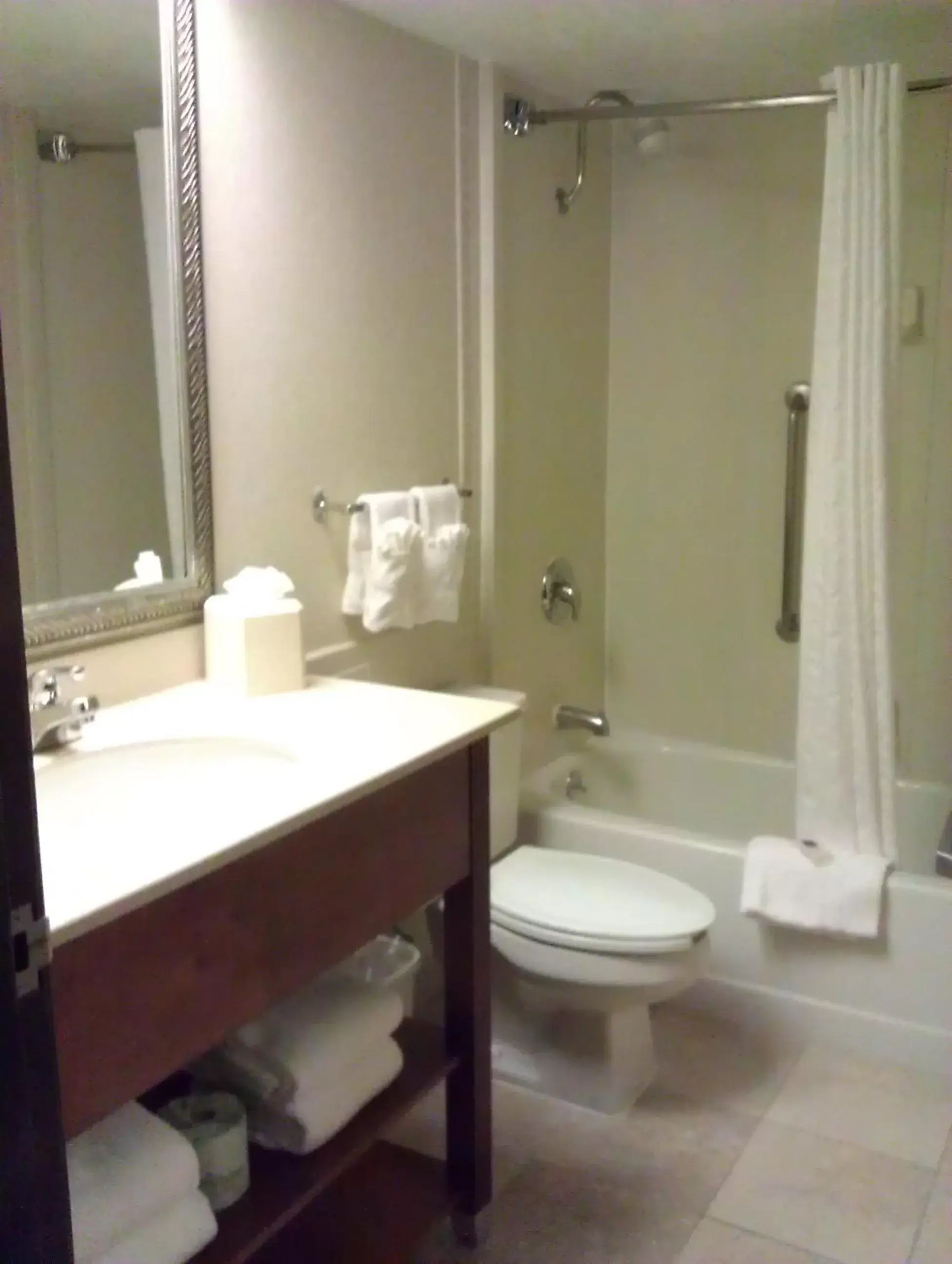 Bathroom in AmericInn by Wyndham Omaha