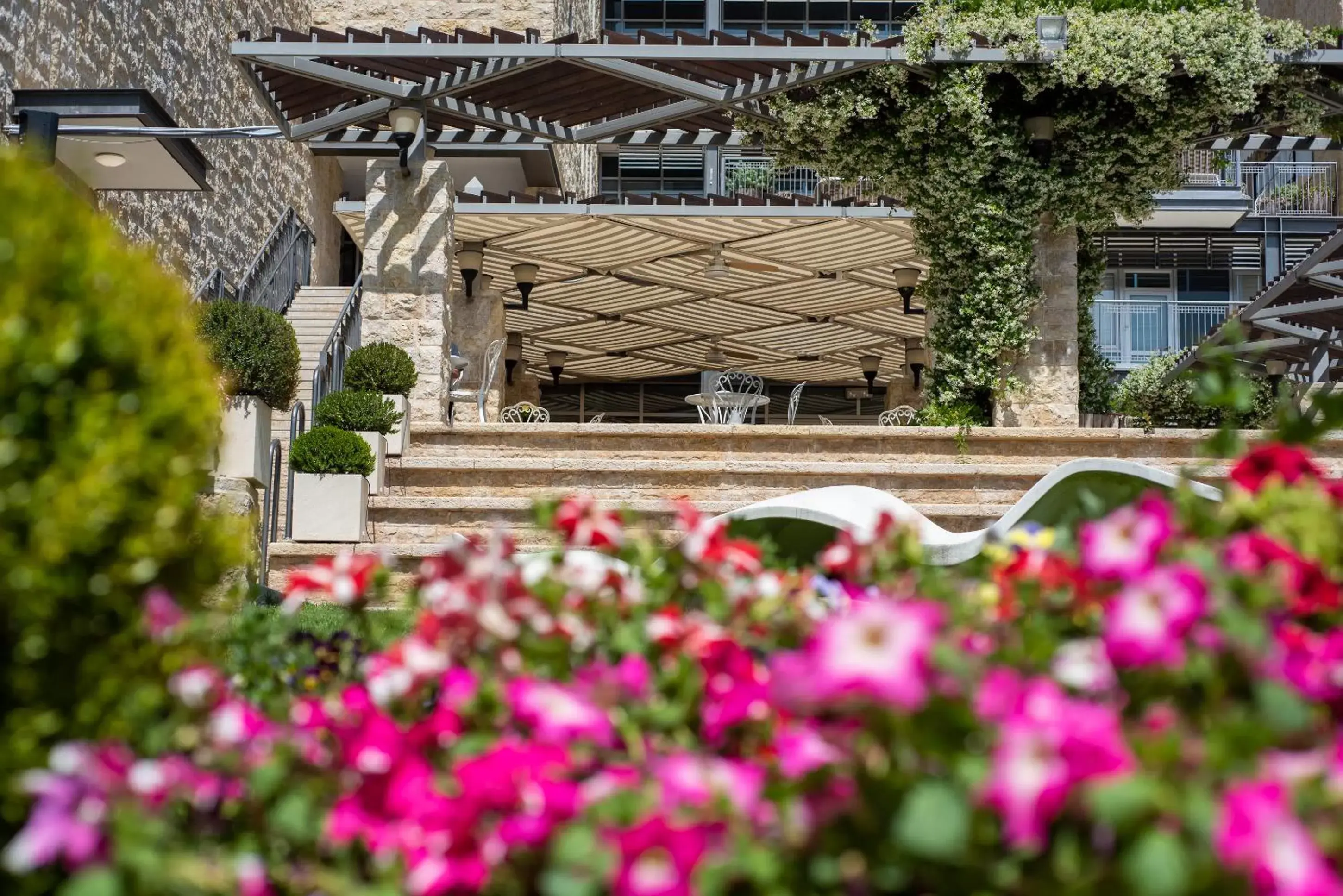 Garden in Hotel Yehuda