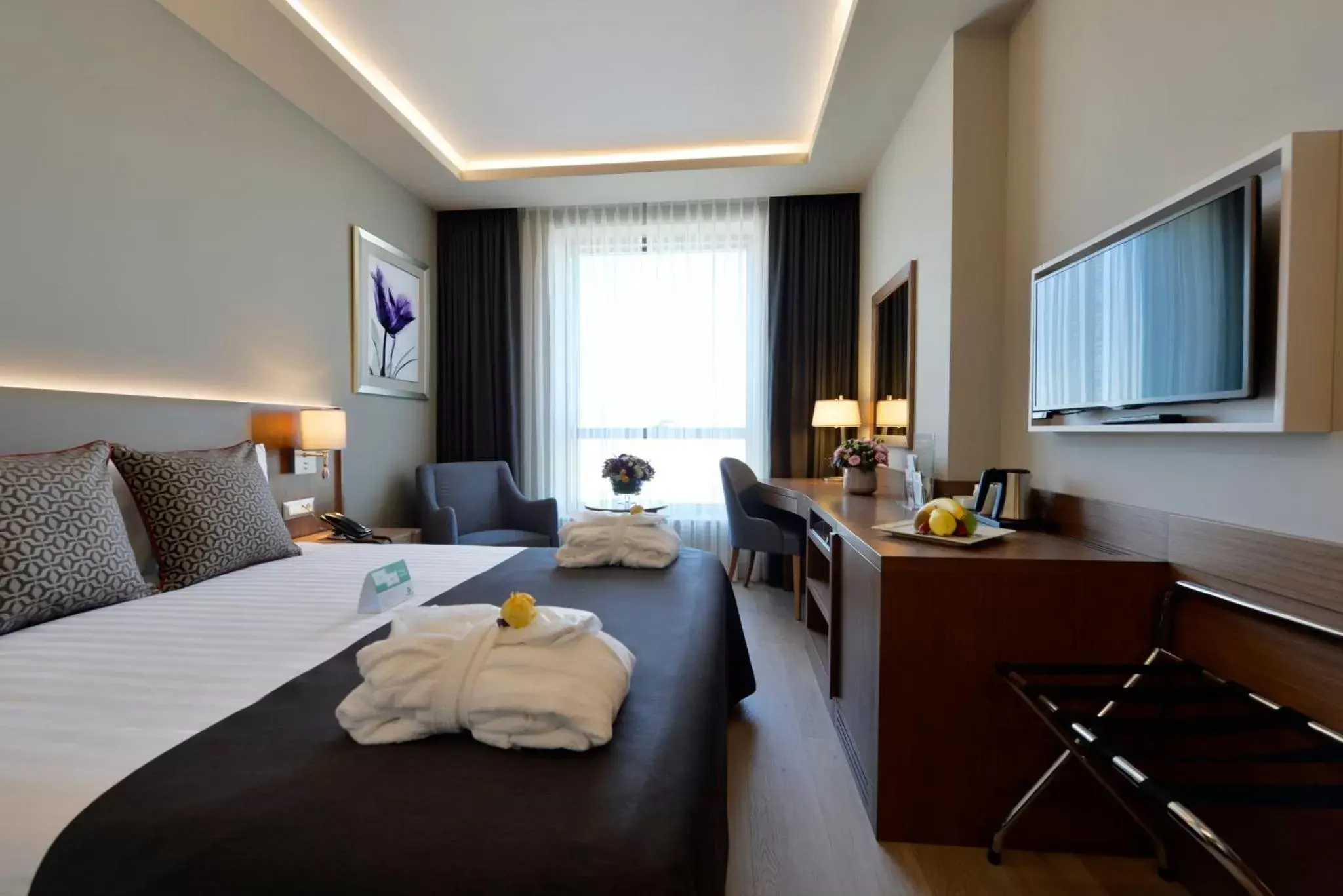 Photo of the whole room in Holiday Inn Bursa - City Centre, an IHG Hotel