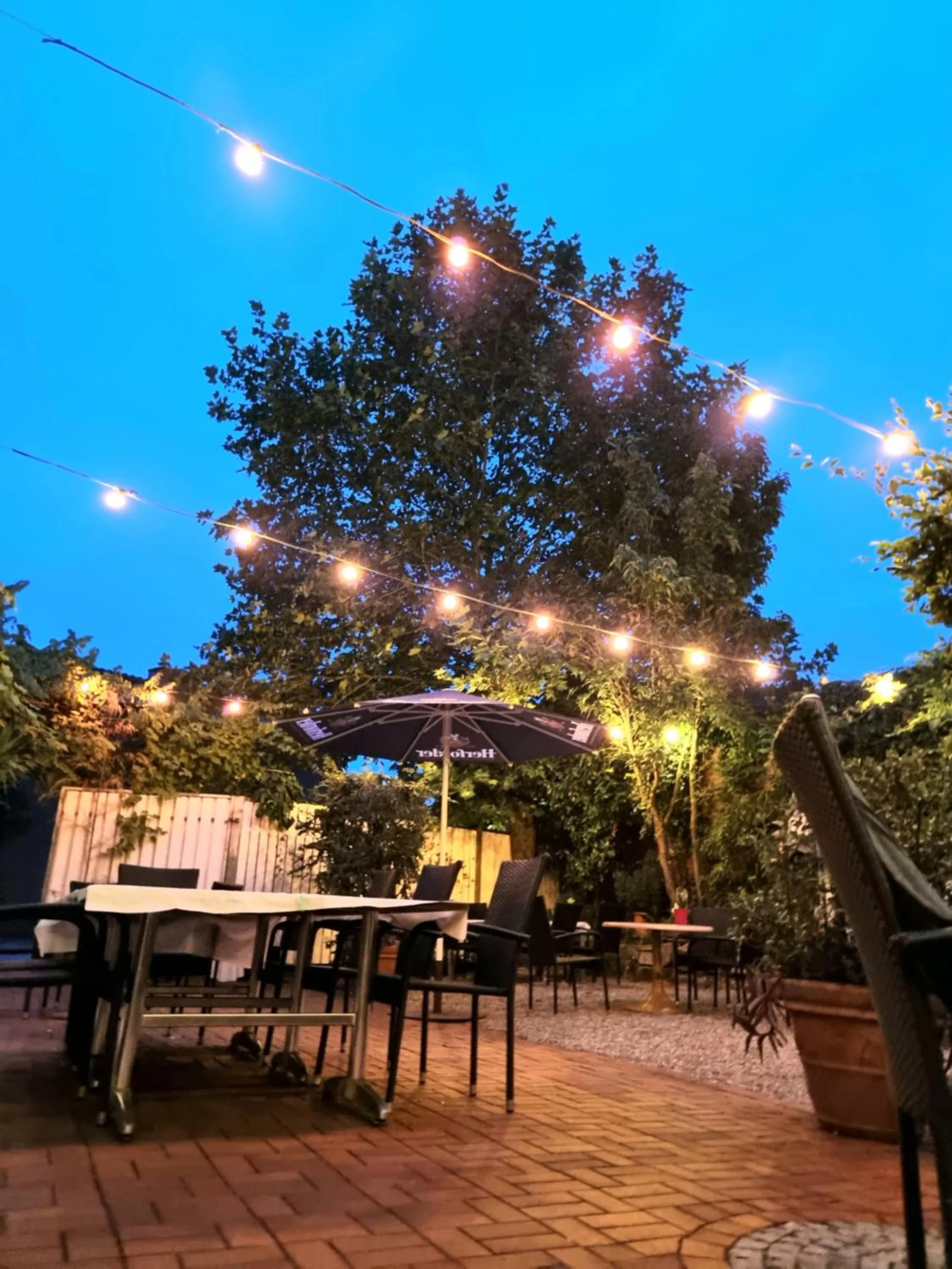 Hotel Altes Gasthaus Düsterbeck