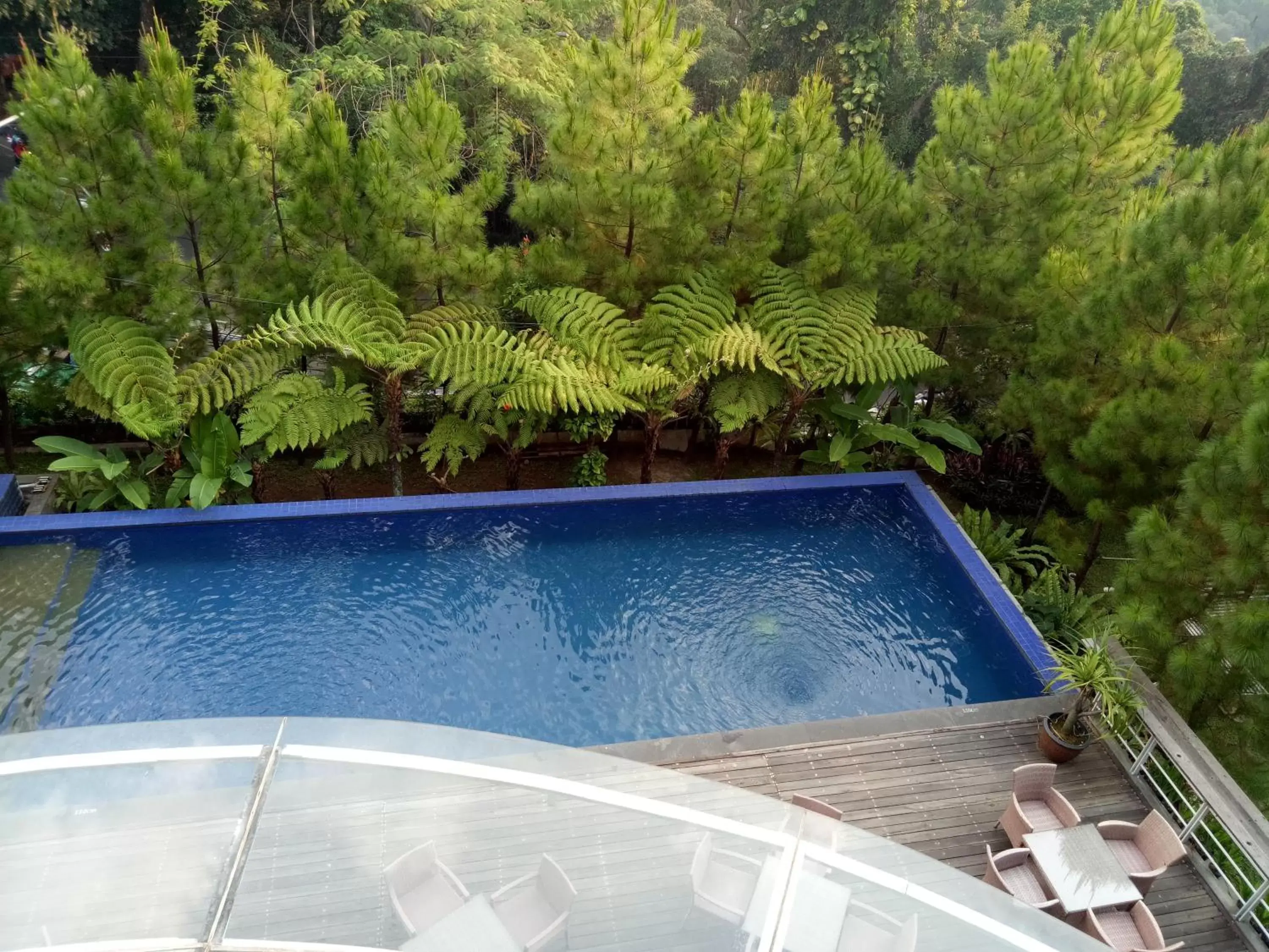 Swimming pool in House Sangkuriang