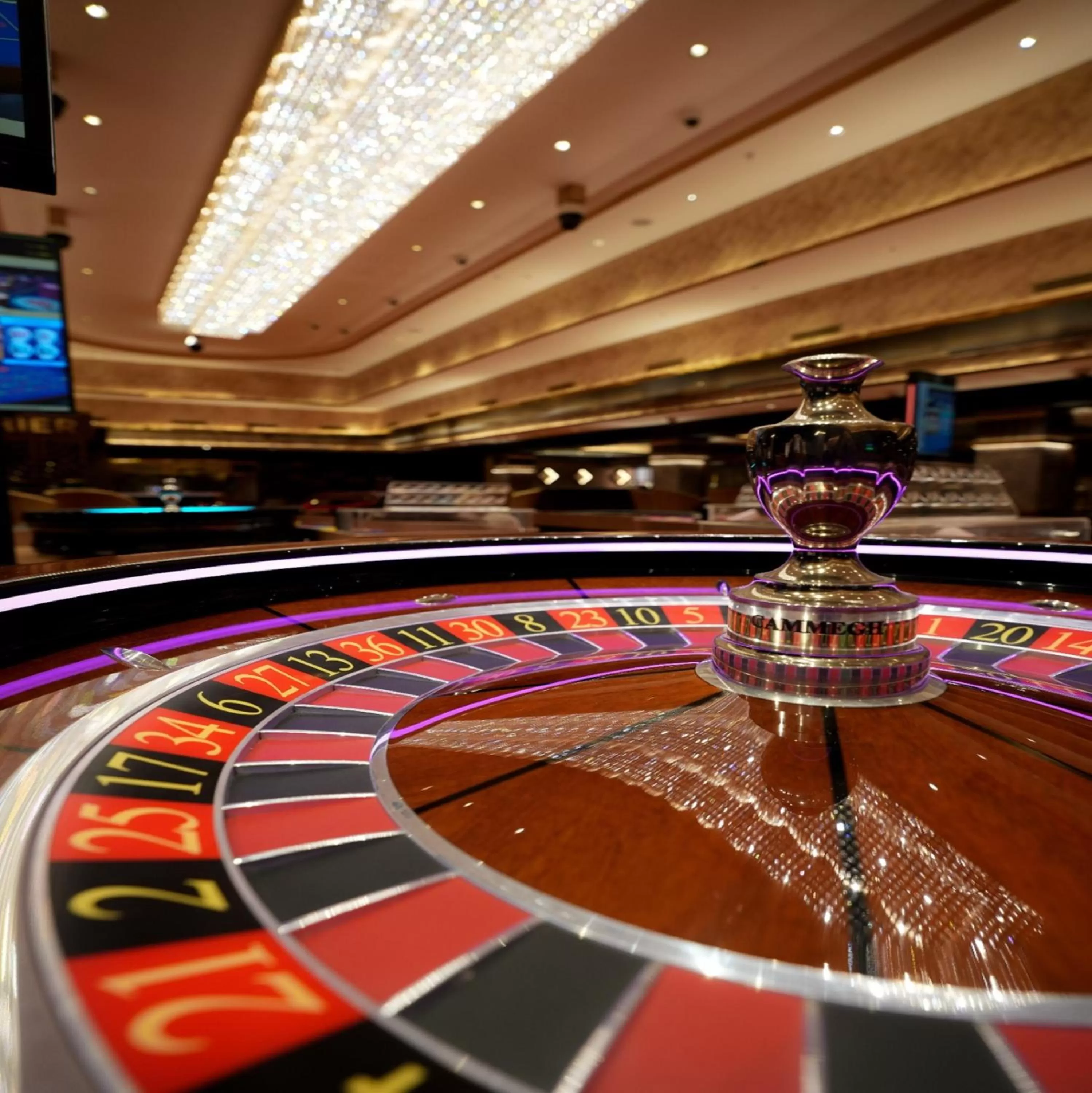 Casino in Sterling Gangtok Orange Village