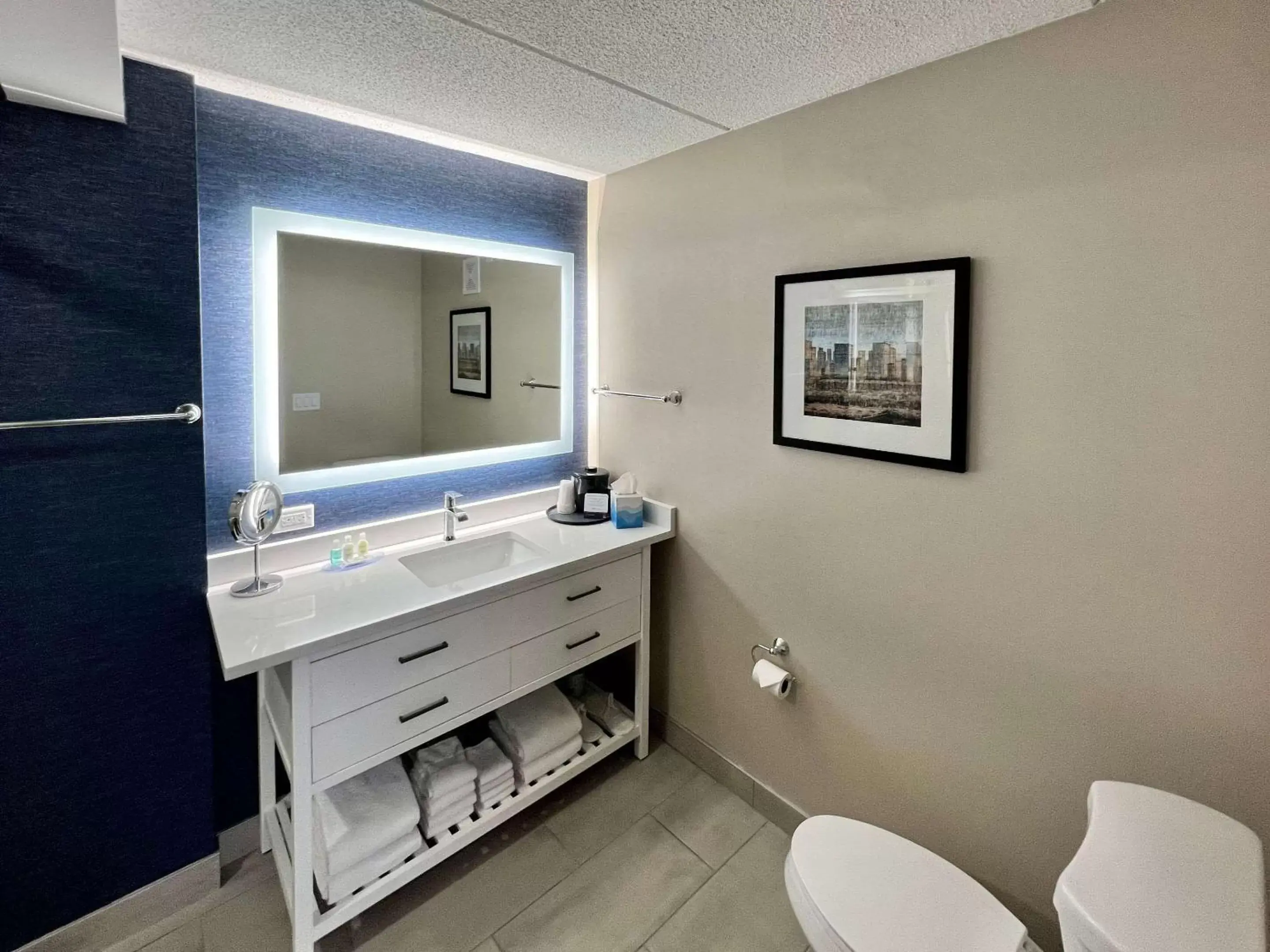 Bedroom, Bathroom in Clarion Hotel and Conference Center - Joliet