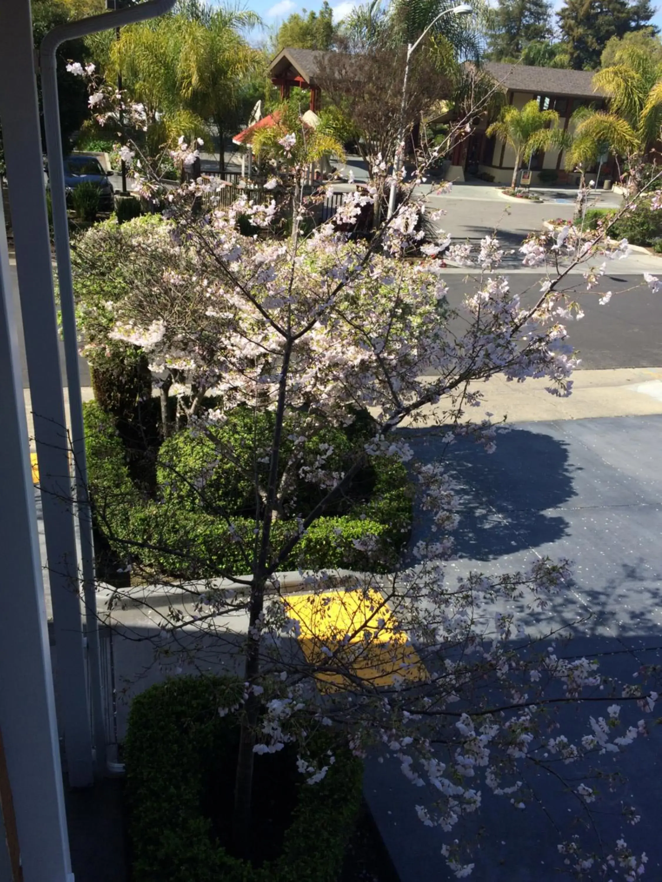 Bird's eye view in Oak Motel