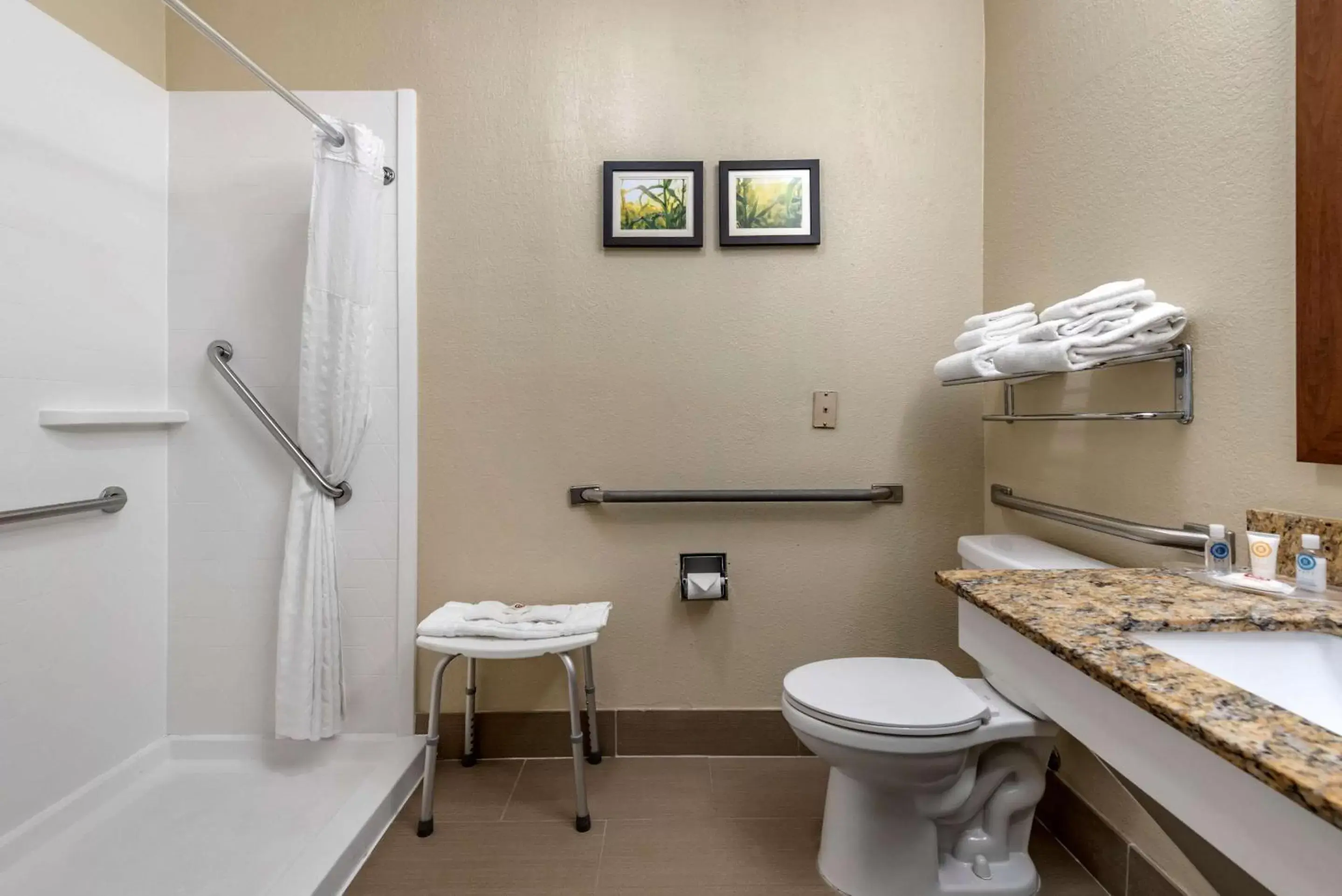 Shower, Bathroom in Comfort Suites Auburn near I-69