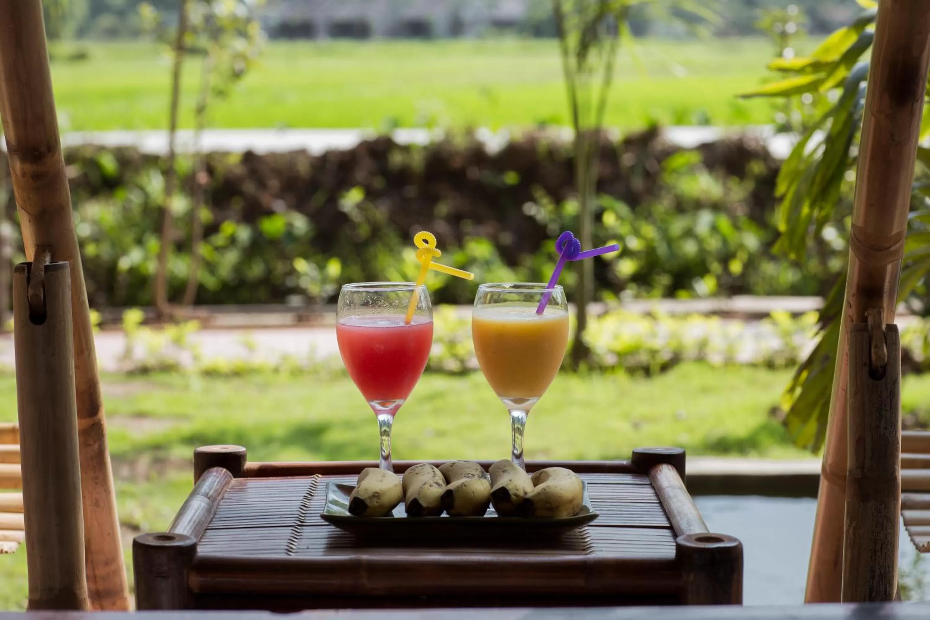 Tam Coc Rice Fields Resort