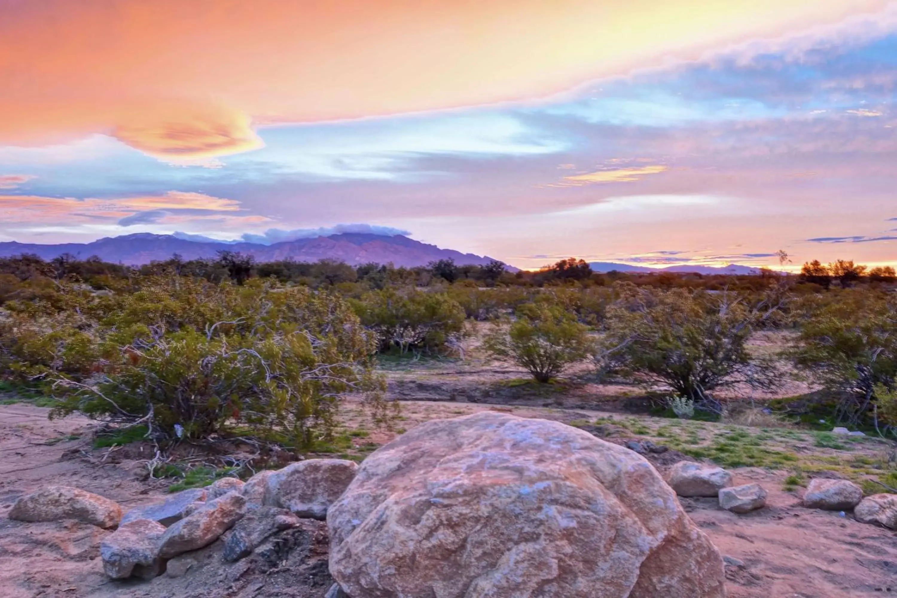 Property building, Natural Landscape in Hampton Inn & Suites Tucson Marana