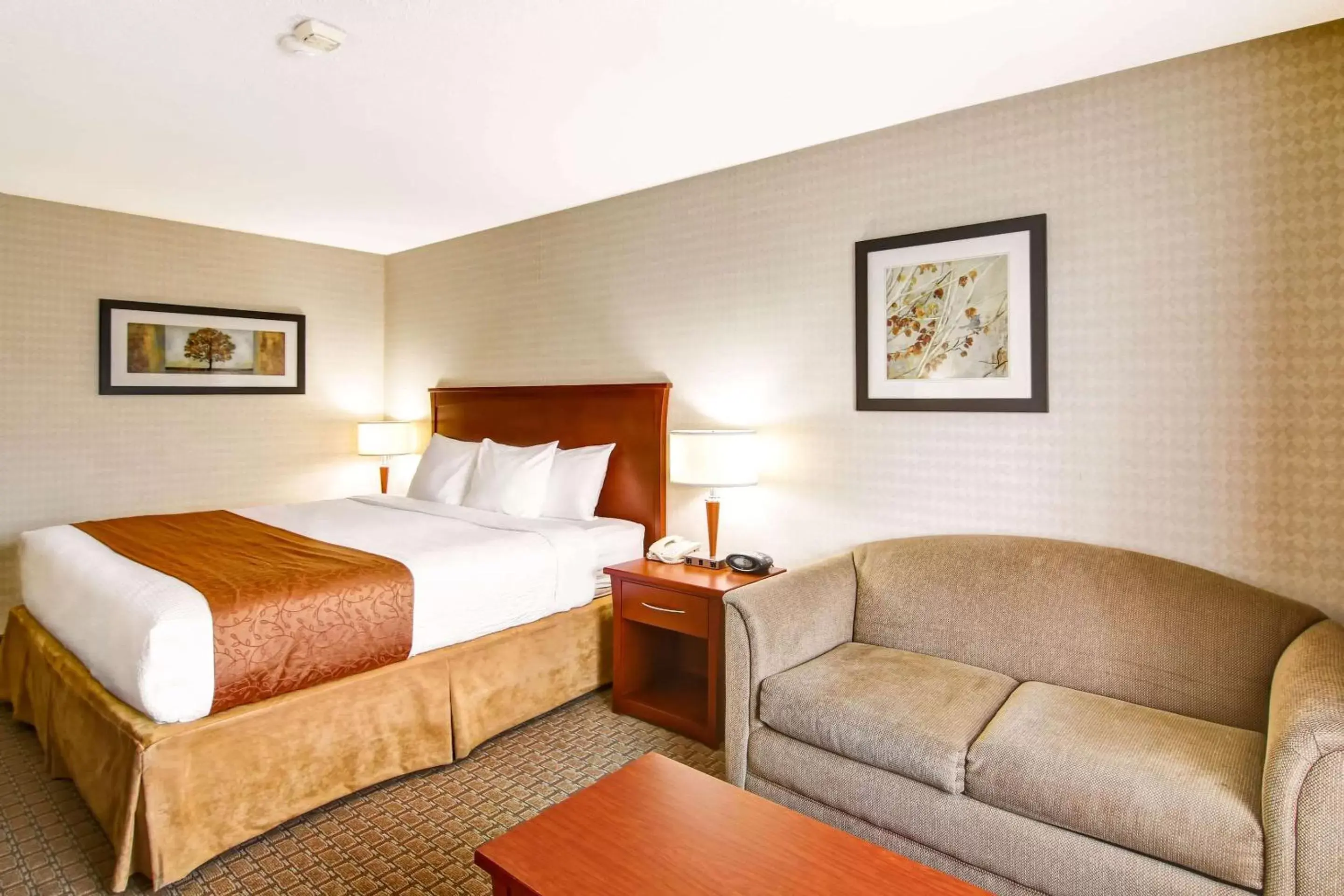 Photo of the whole room, Bed in Quality Inn - Kitchener