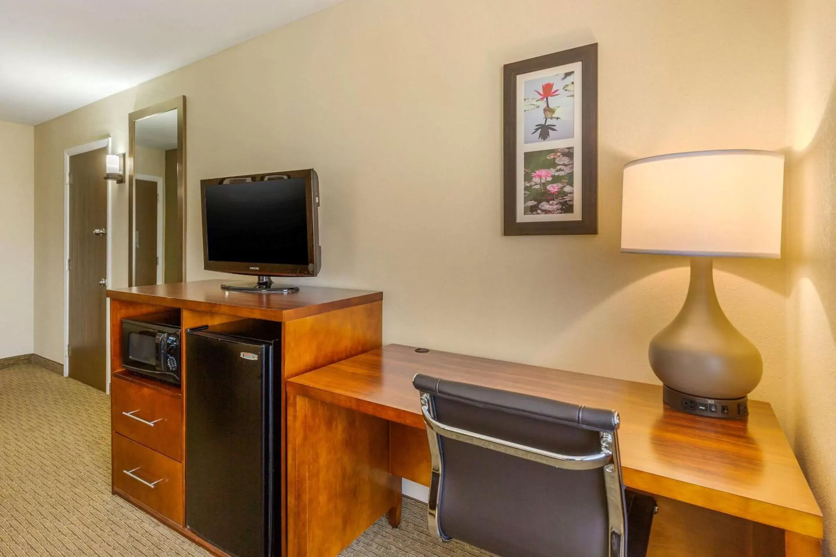 Photo of the whole room, TV/Entertainment Center in Comfort Inn Red Horse Frederick