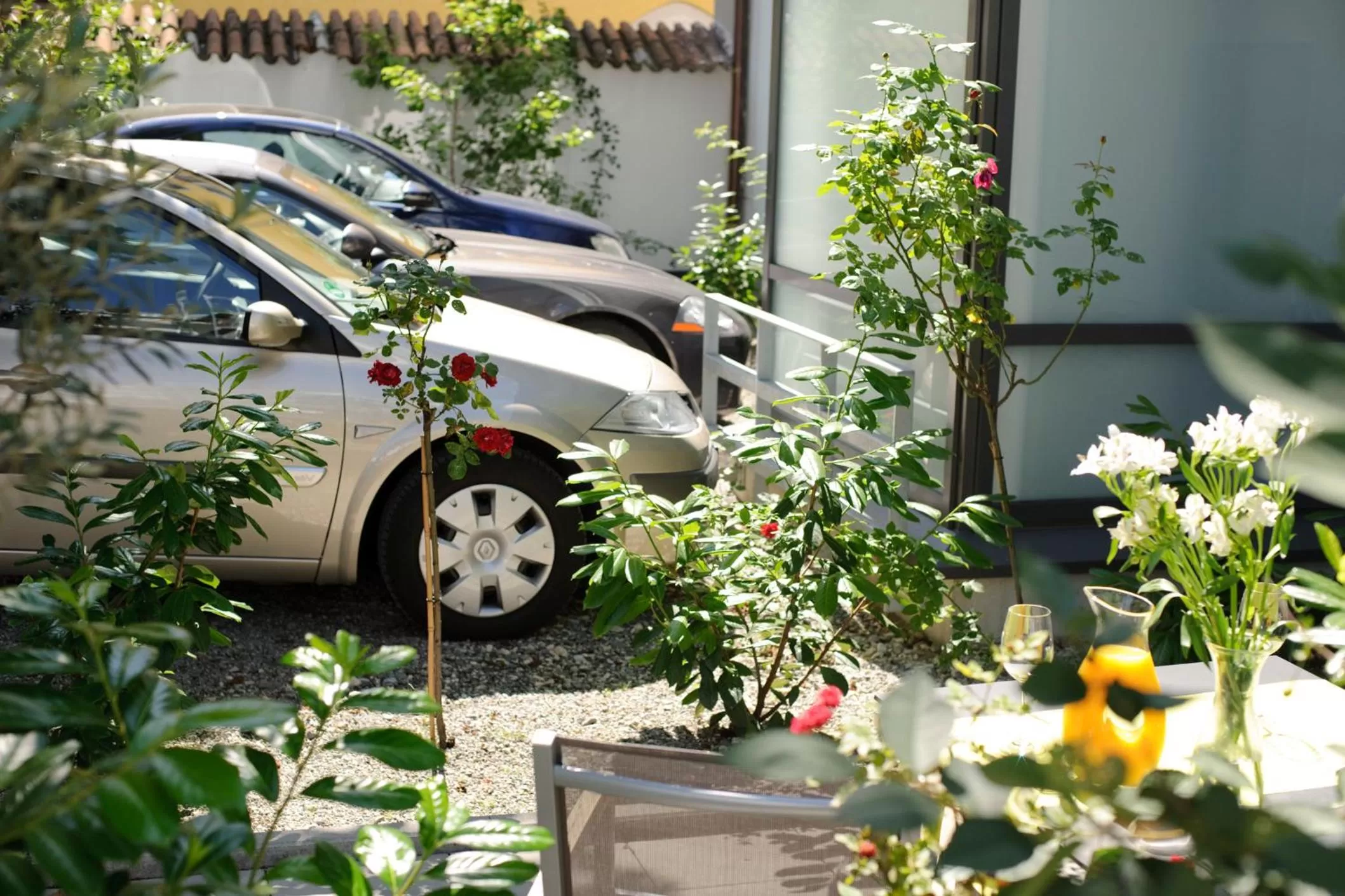 Garden in Hotel Constantia