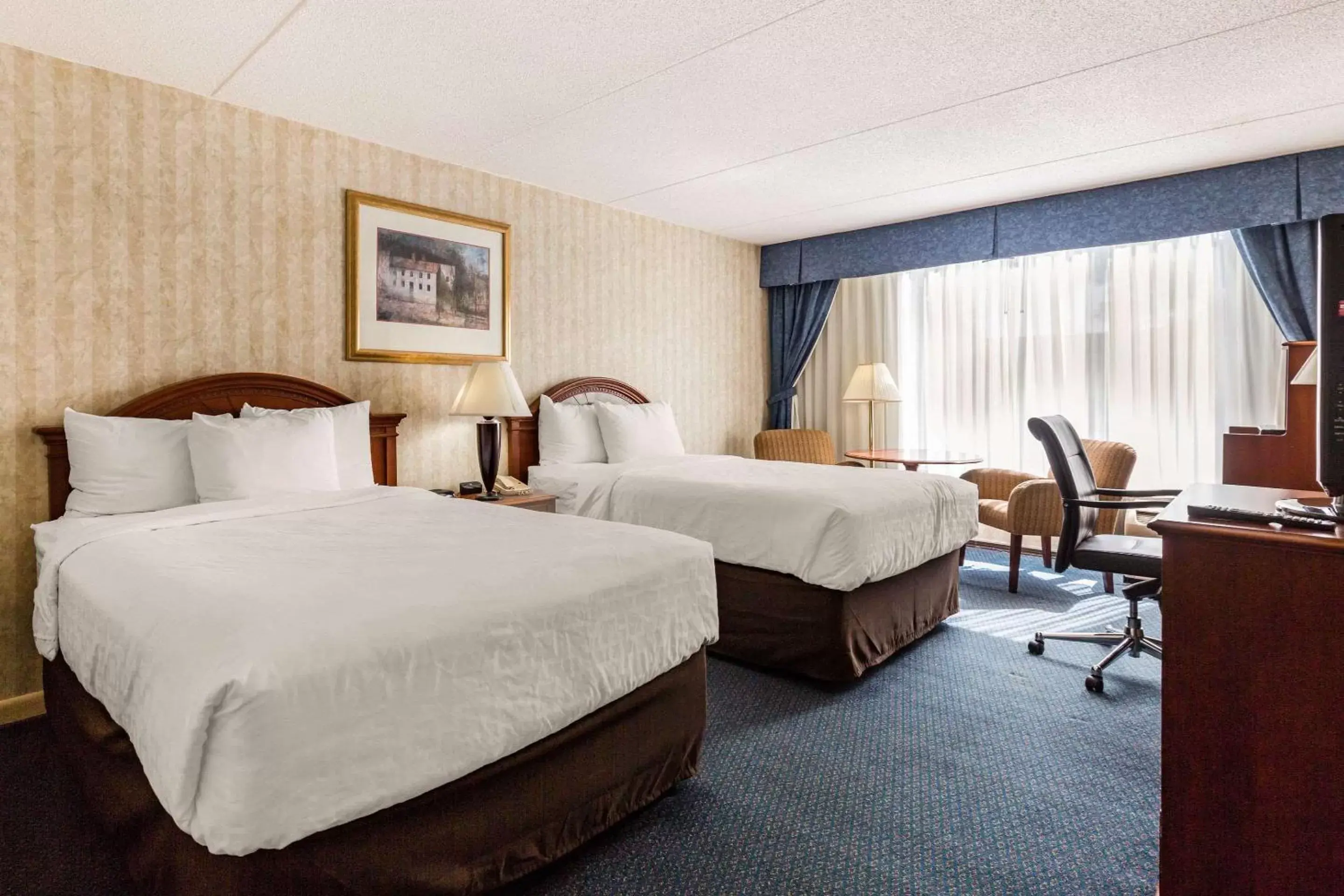 Photo of the whole room, Bed in Clarion Hotel Williamsburg I-64