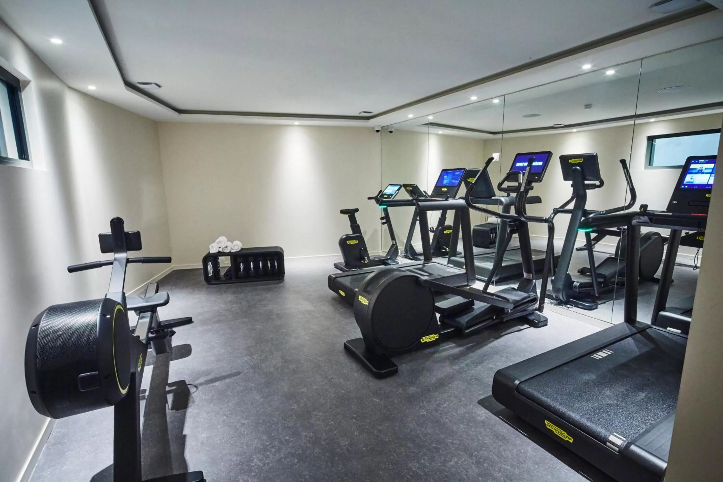 Fitness centre/facilities in La Licorne Hotel & Spa Troyes - MGallery Collection