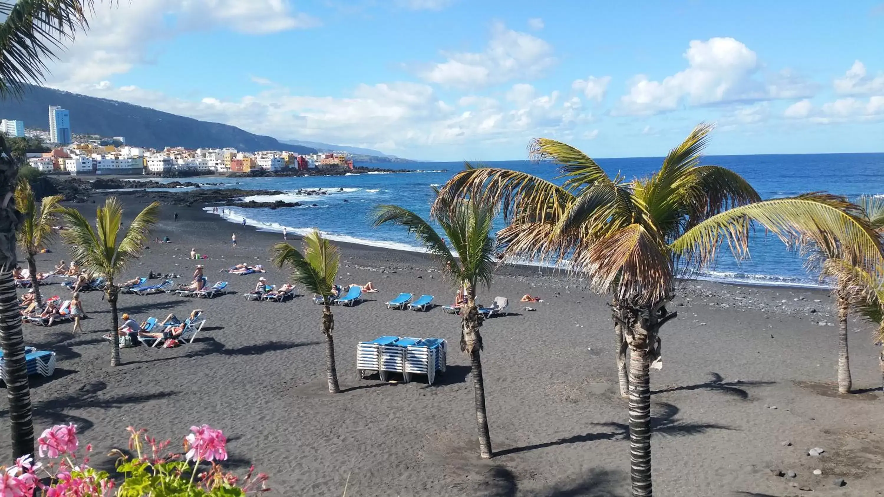 Area and facilities, Beach in Hotel Tropical