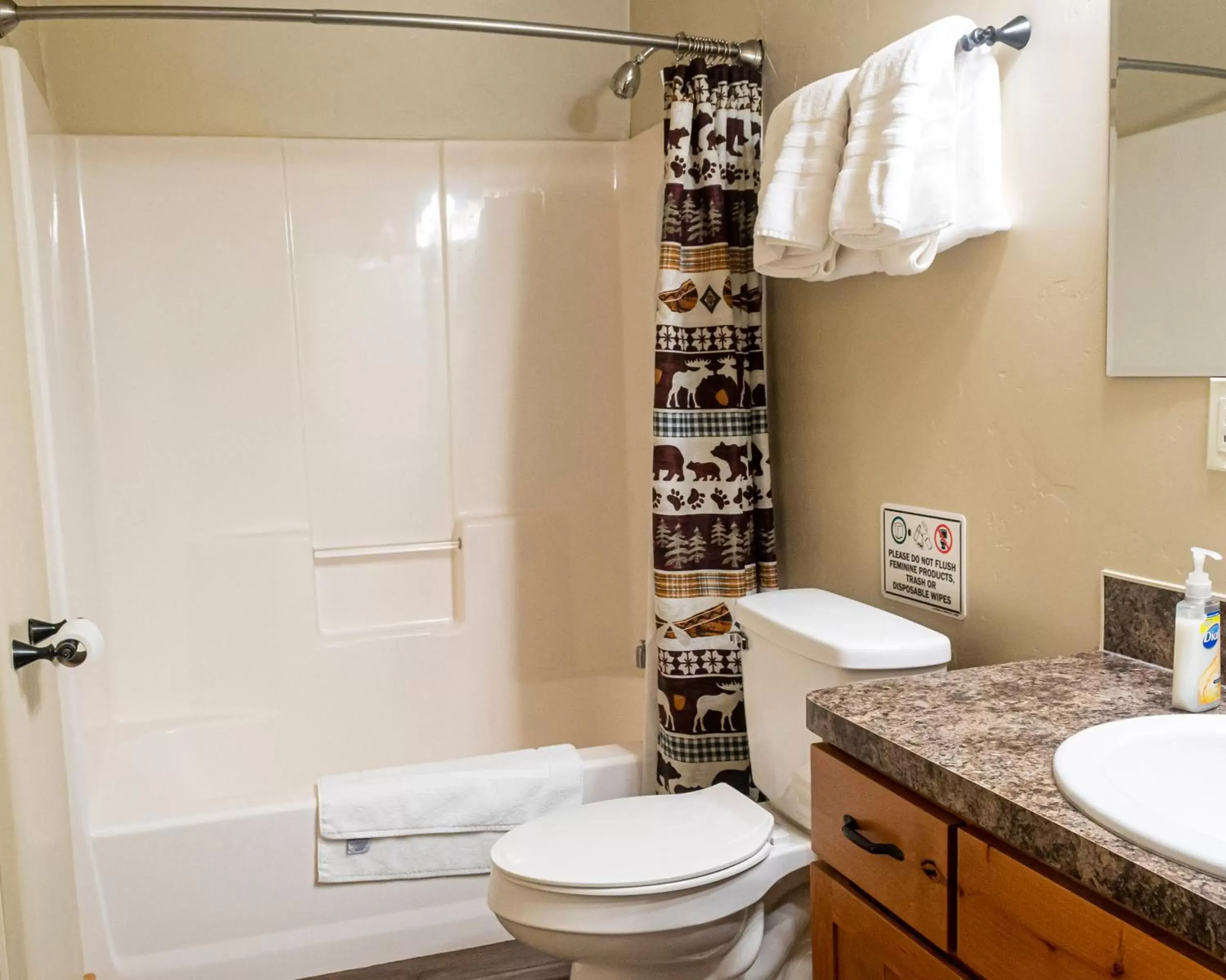 Toilet, Bathroom in Sawtelle Mountain Resort