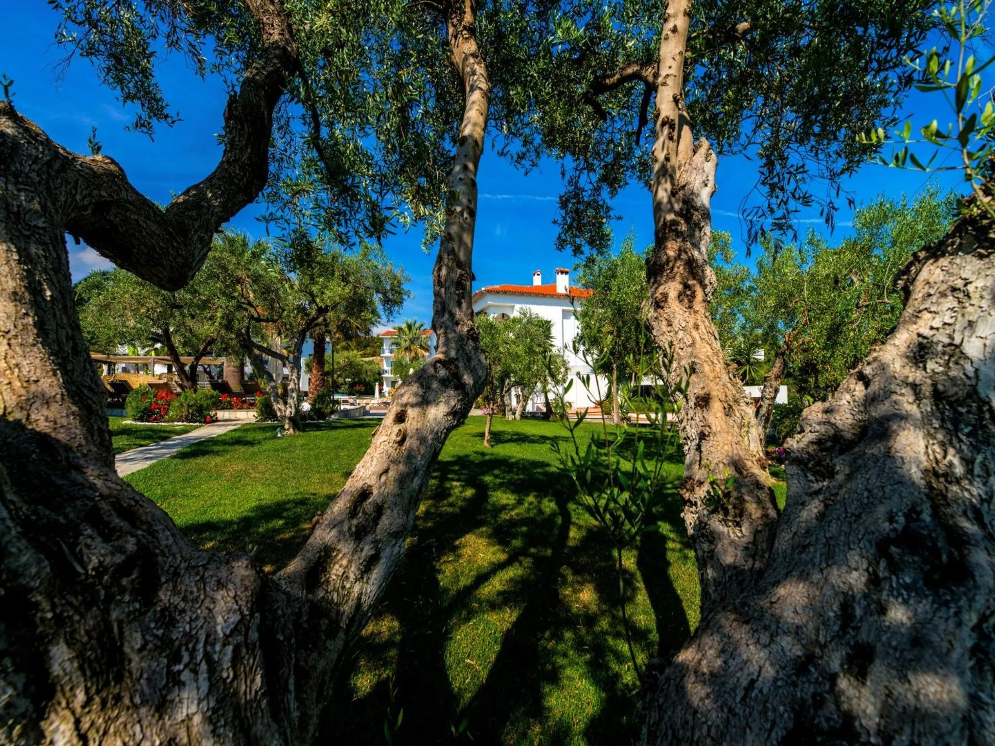 Property building in Flegra Palace