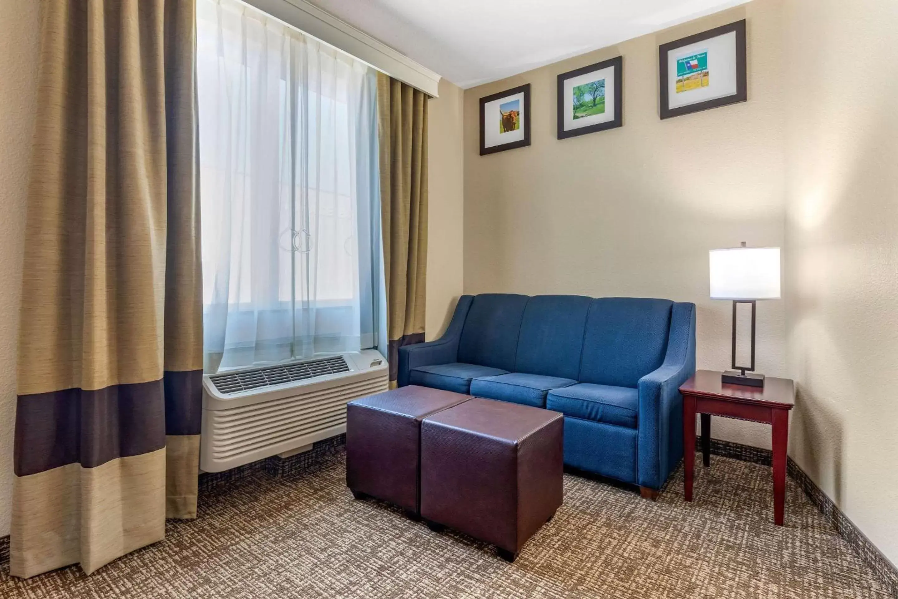 Photo of the whole room, Seating Area in Comfort Inn & Suites Near Lake Lewisville