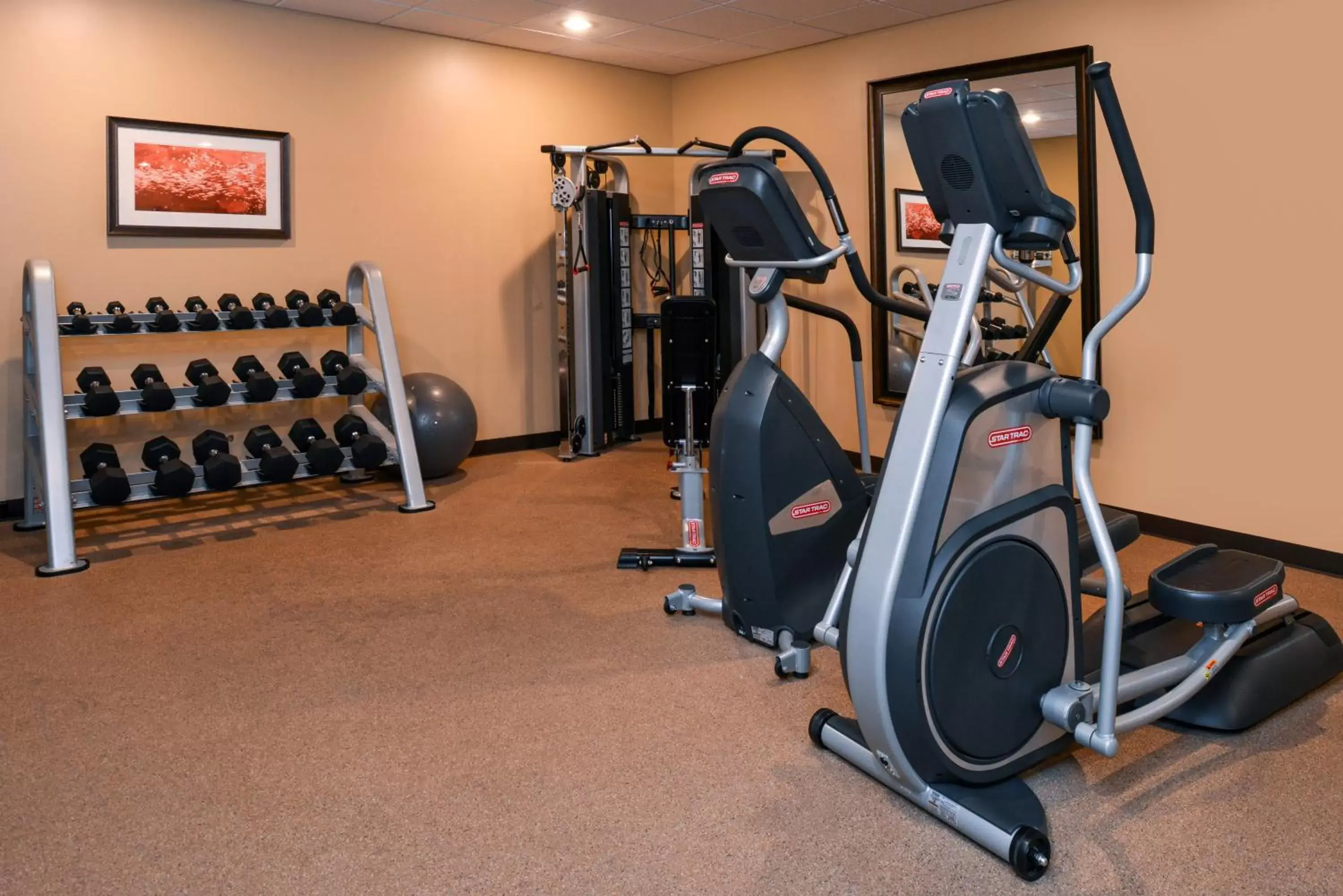 Spa and wellness centre/facilities, Fitness Center/Facilities in Staybridge Suites Merrillville, an IHG Hotel