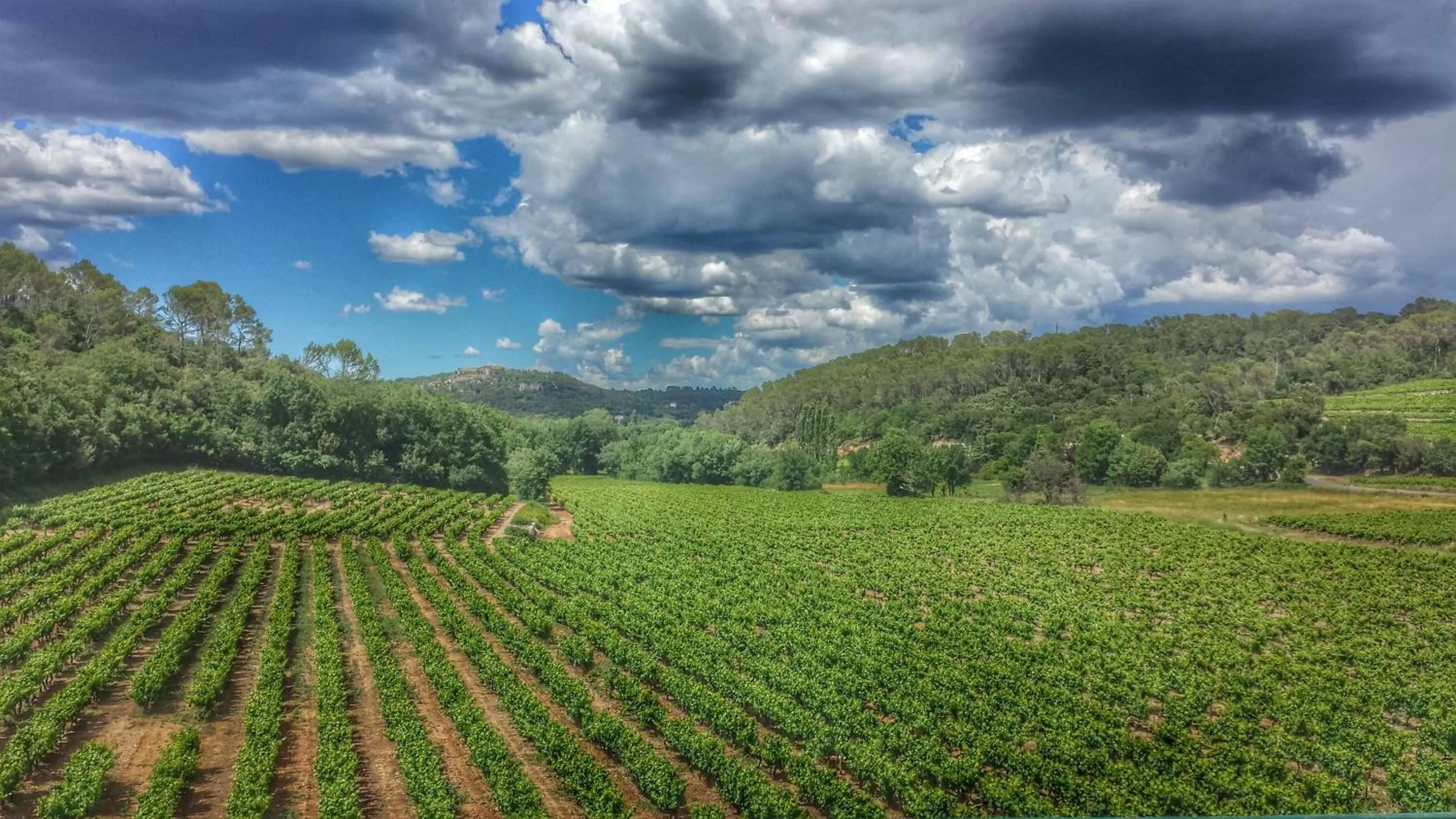 View (from property/room) in Le Domaine Saint Martin