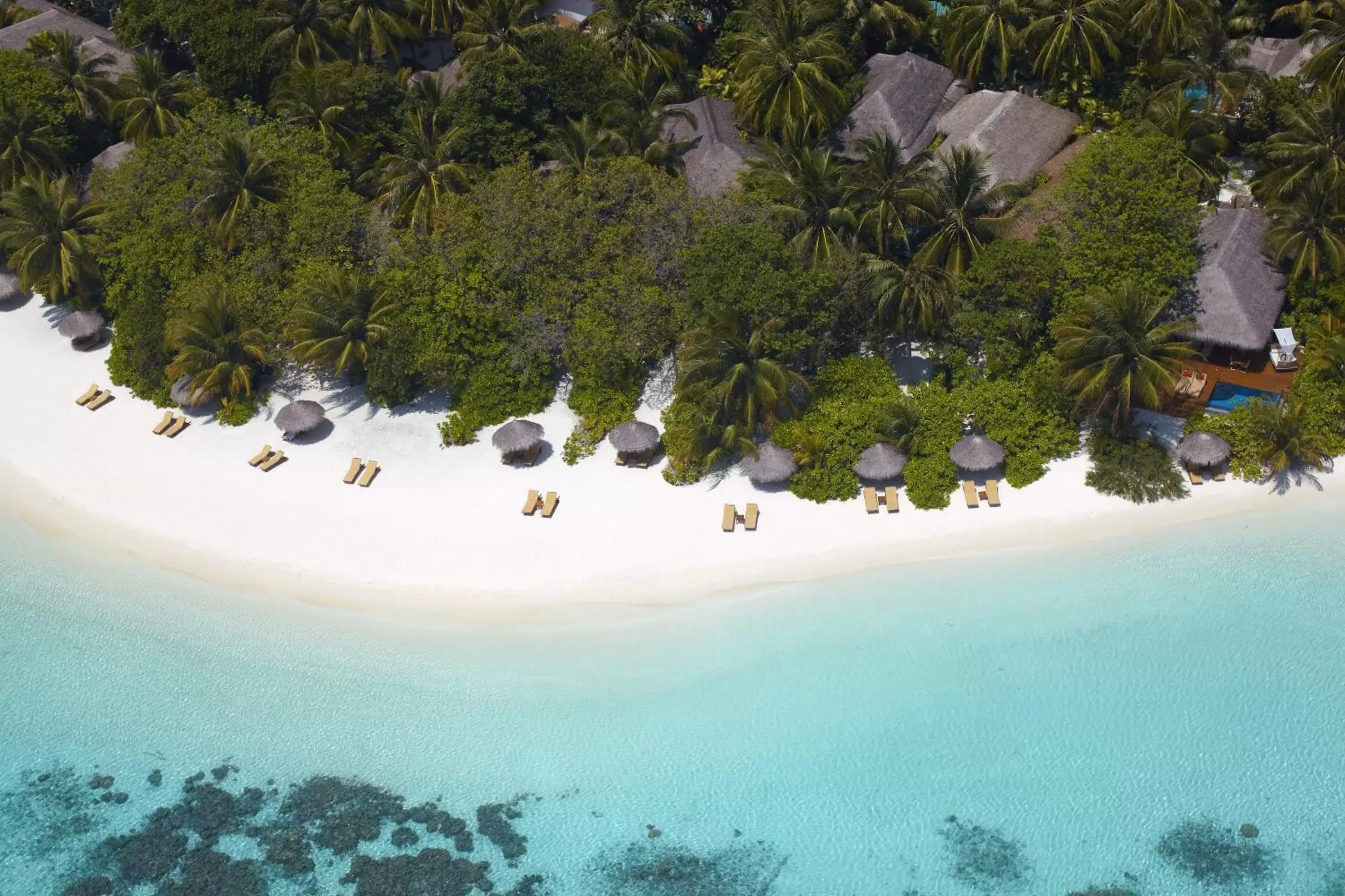 Beach, Bird's-eye View in Baros Maldives