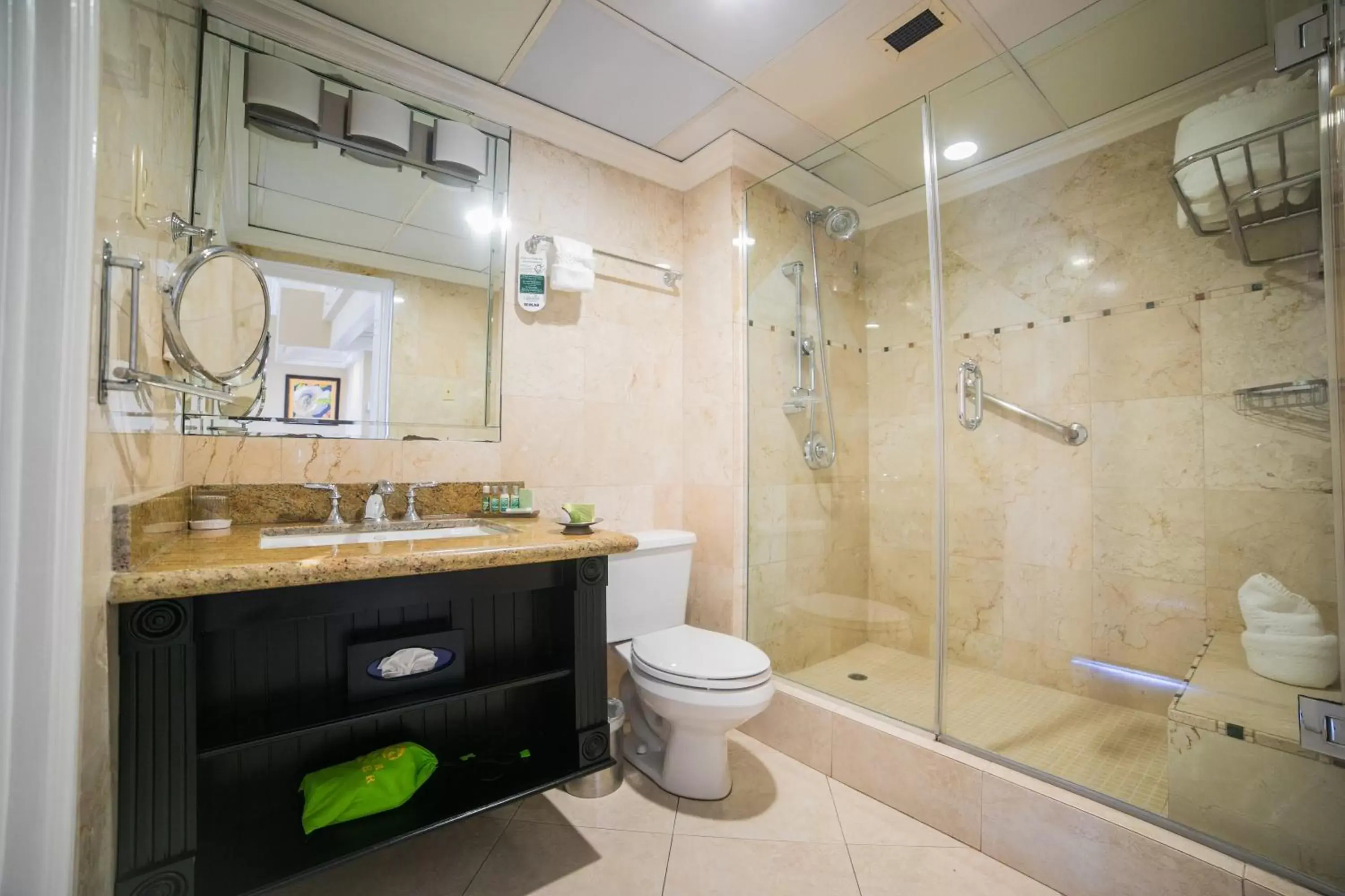 Shower, Bathroom in Courtleigh Hotel & Suites