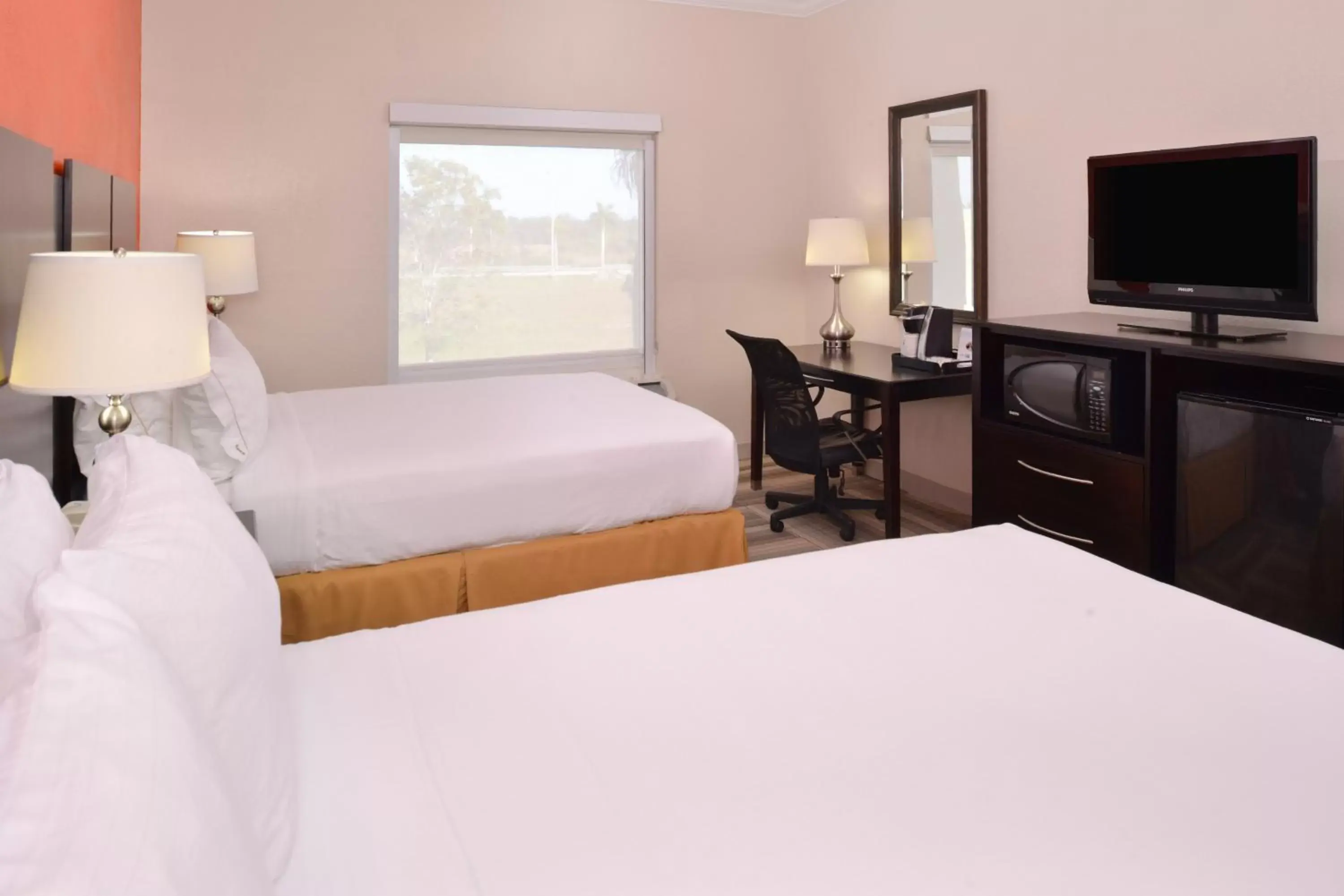 Photo of the whole room, Bed in Holiday Inn Express & Suites Florida City-Gateway To Keys, an IHG Hotel