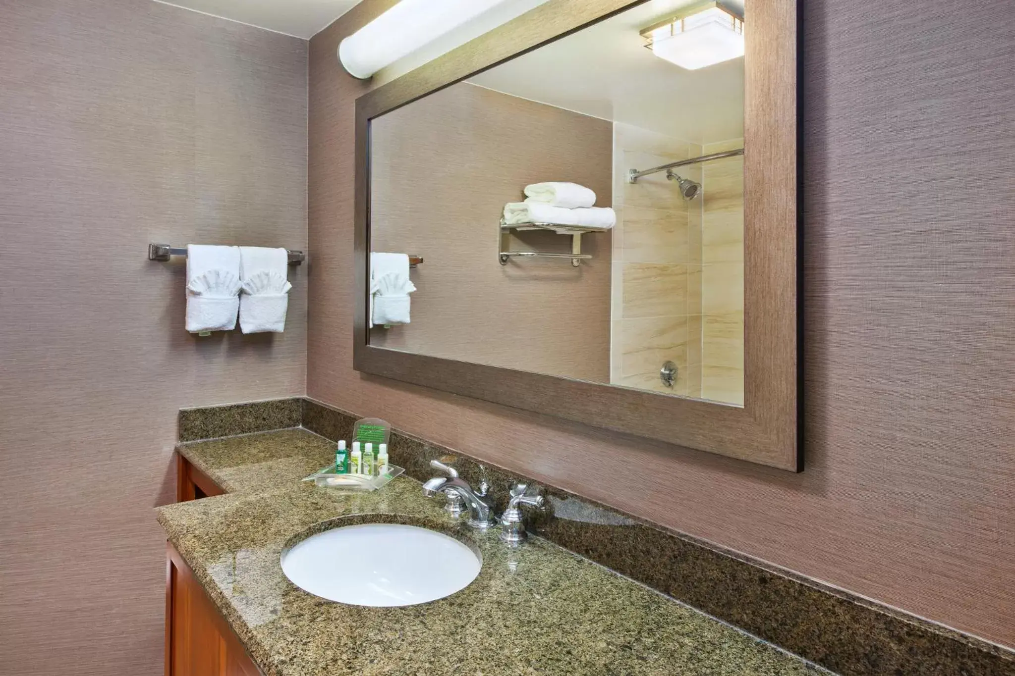 Bathroom in Holiday Inn Washington-Dulles International Airport, an IHG Hotel