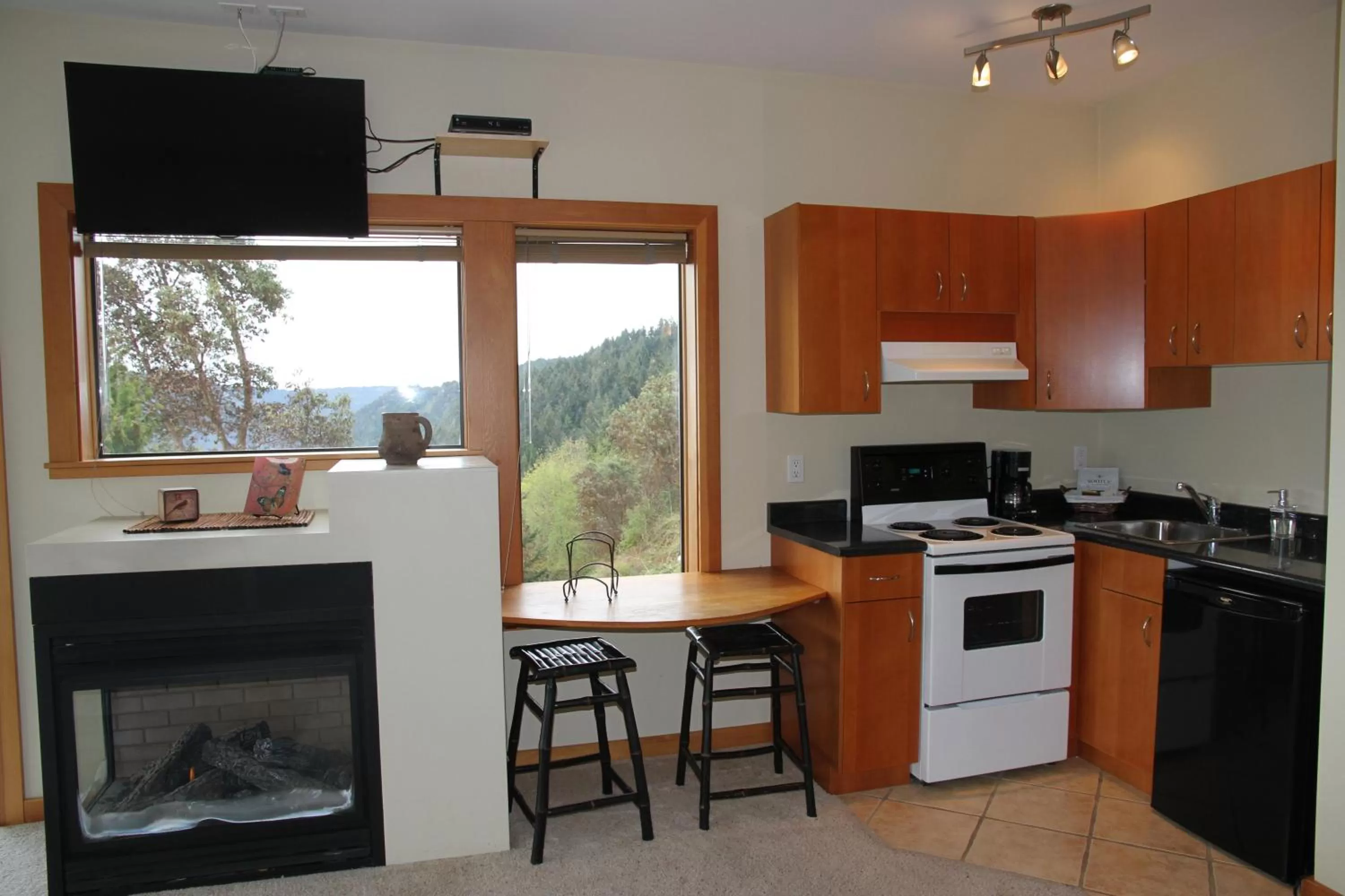 Kitchen or kitchenette, TV/Entertainment Center in Moon Water Lodge