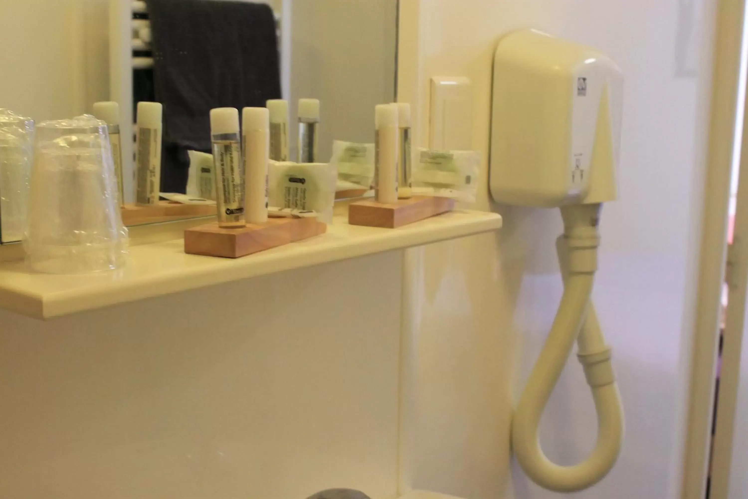 Standard Twin Room in Hôtel du lion d'or Standard Twin Room in Hôtel du lion d'or