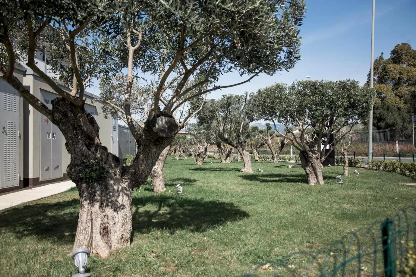 Garden view in PM Hotel