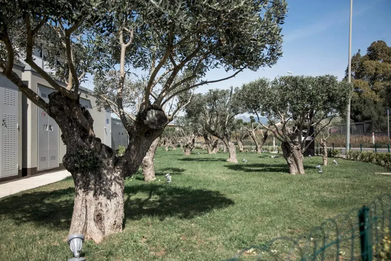 Garden view in PM Hotel Garden view in PM Hotel